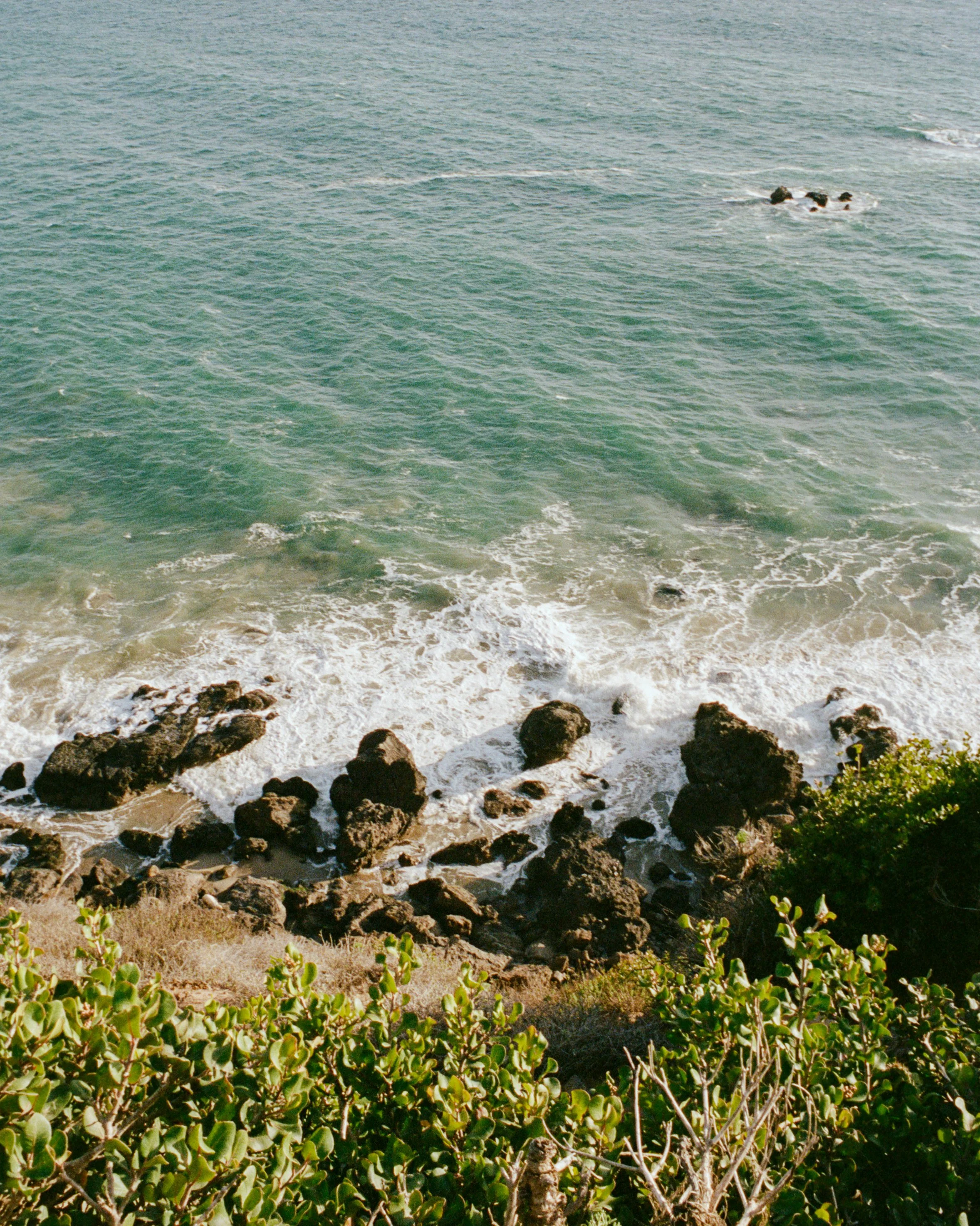 79883_AFA_001_22.jpg