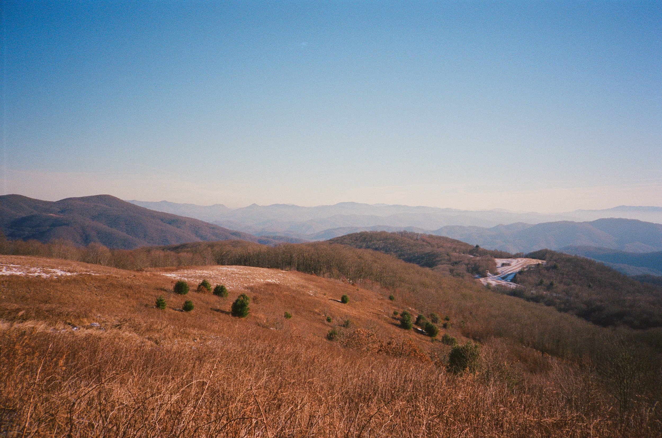IMG_4759.jpg