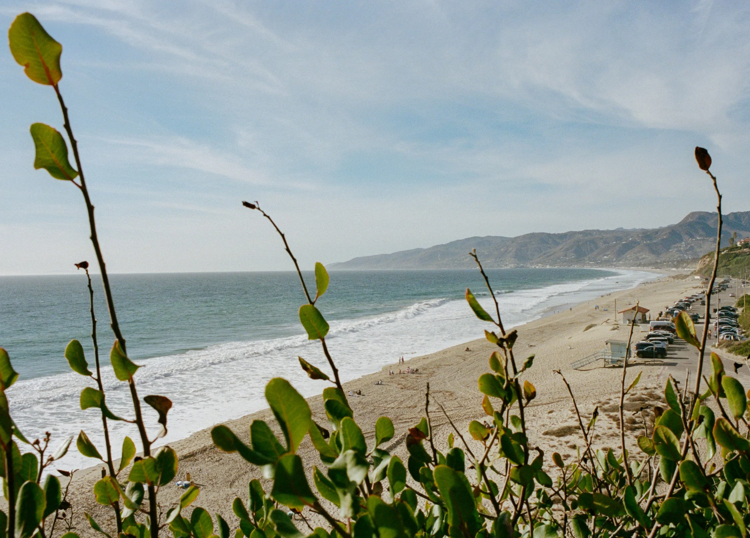 79883_AFA_001_05.jpg