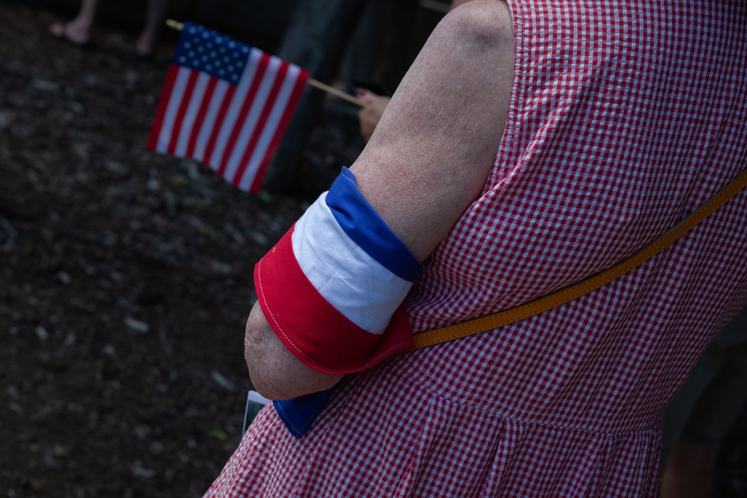    Waynesville, NC - June, 2026.     A woman makes a subtle statement with her armband and flag during a No Kings rally.   