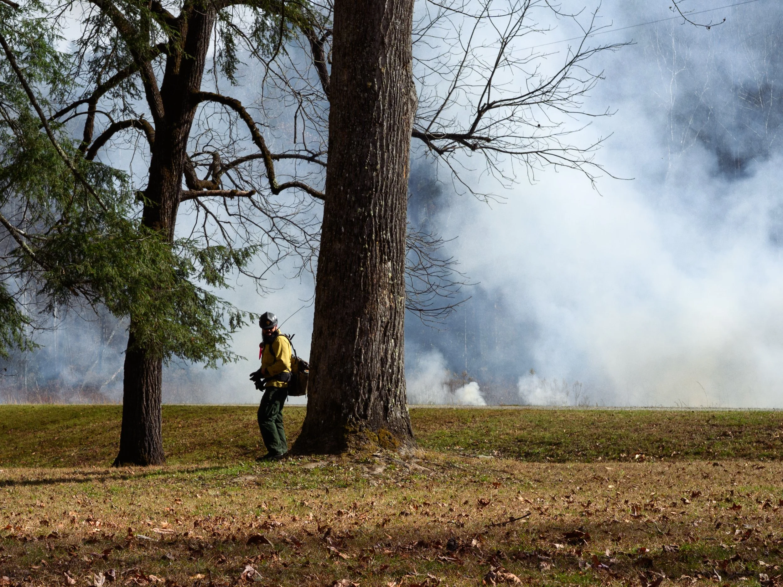    Cataloochee Valley, NC — November 20, 2025.    The National Park Service set this fire on purpose. That's the job: burn carefully now so the forest doesn't burn catastrophically later.  