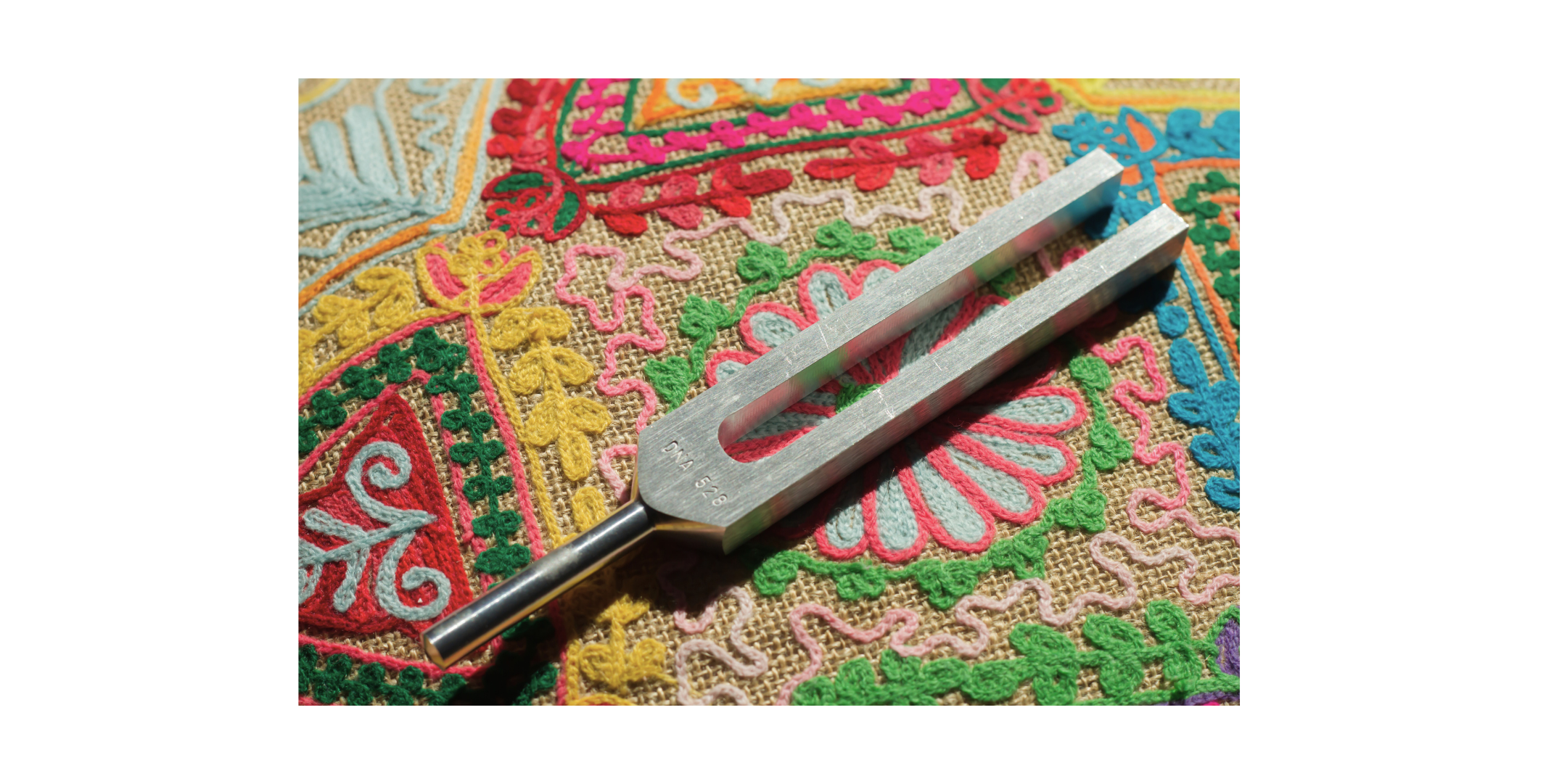 Regulate Your Nervous System: An Intro to Biofield Tuning