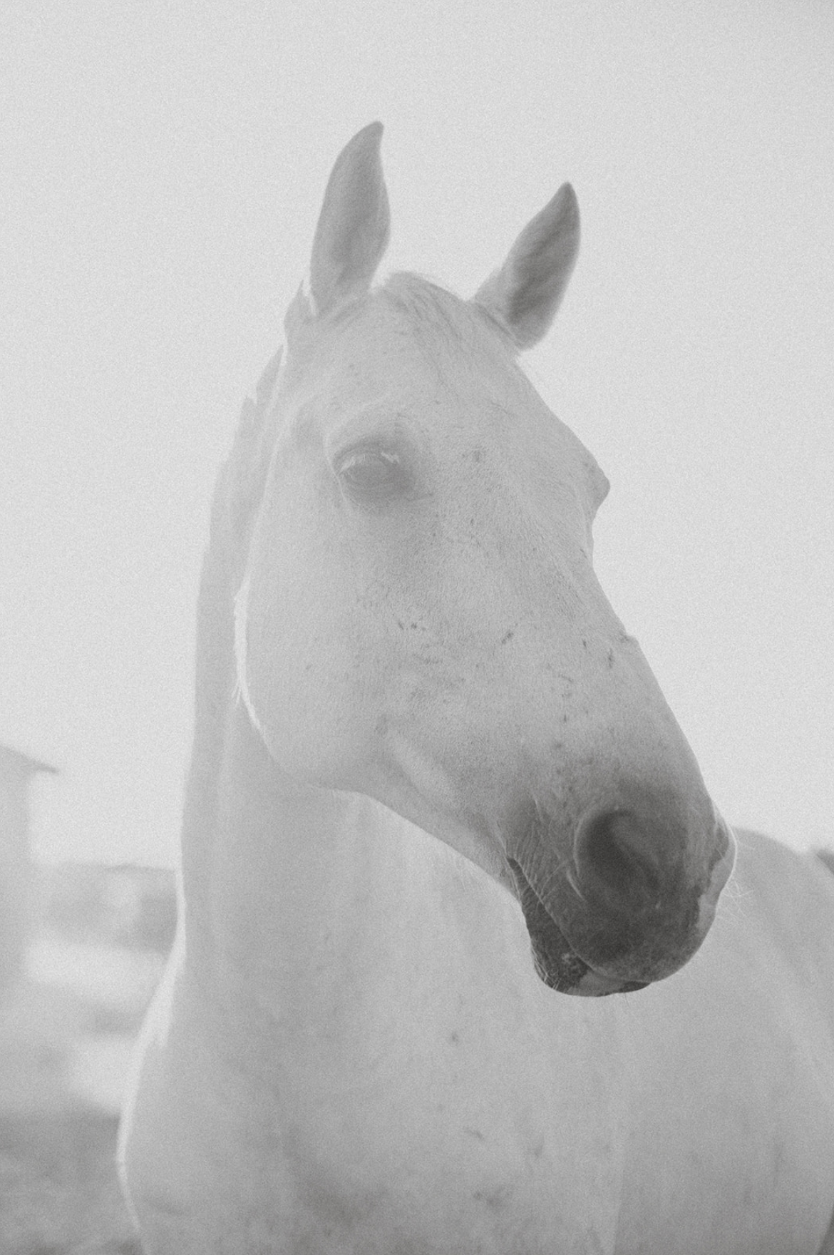 Scherm­afbeelding 2025-06-26 om 20.45.37.png