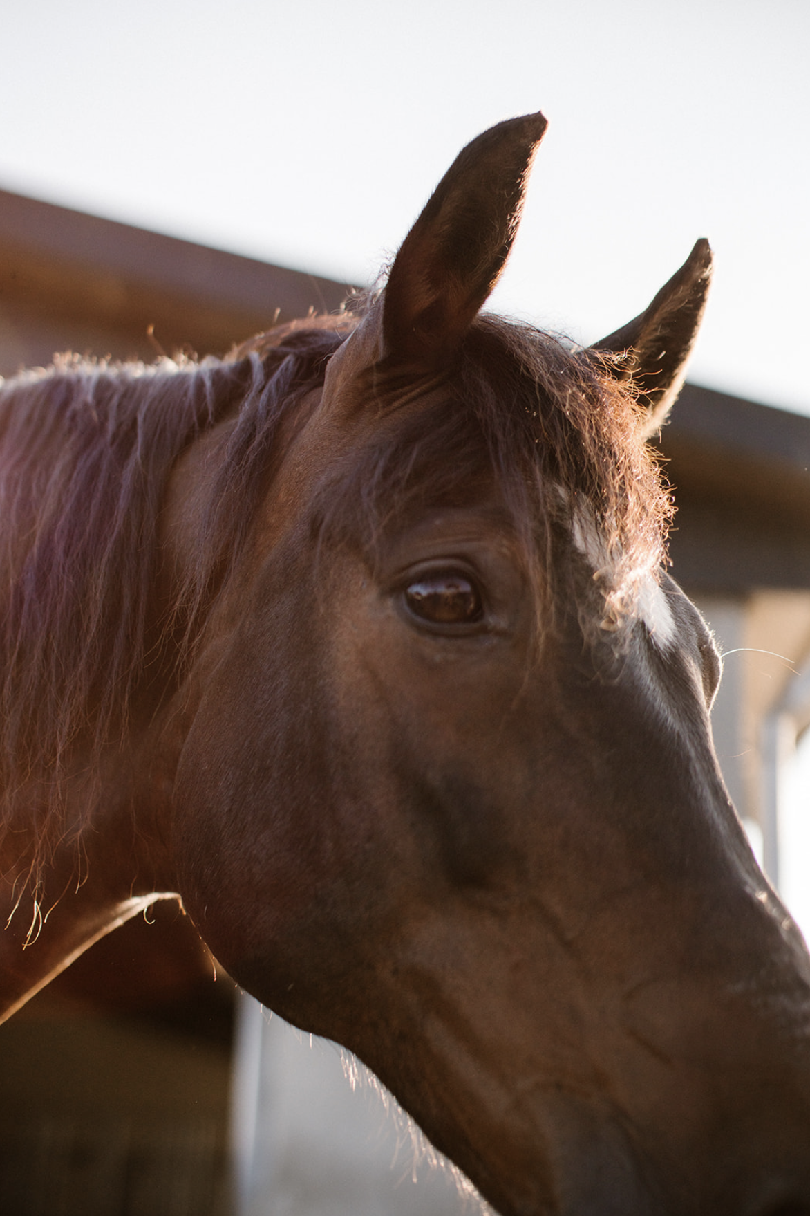 Scherm­afbeelding 2025-06-26 om 20.45.57.png