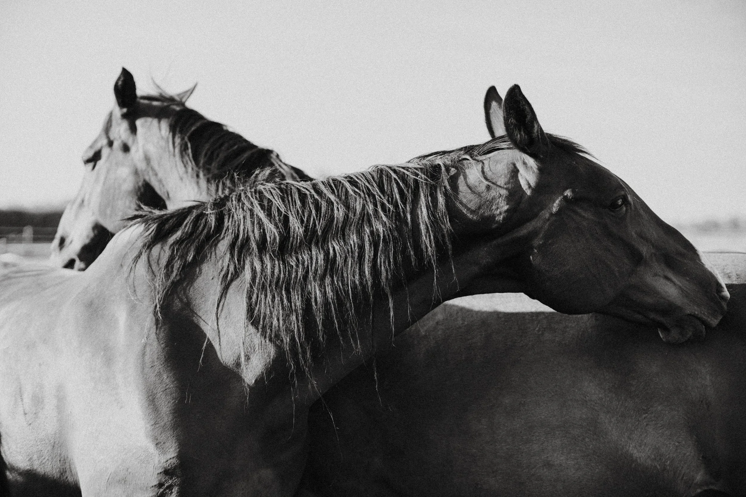 Simone Website-7.jpg