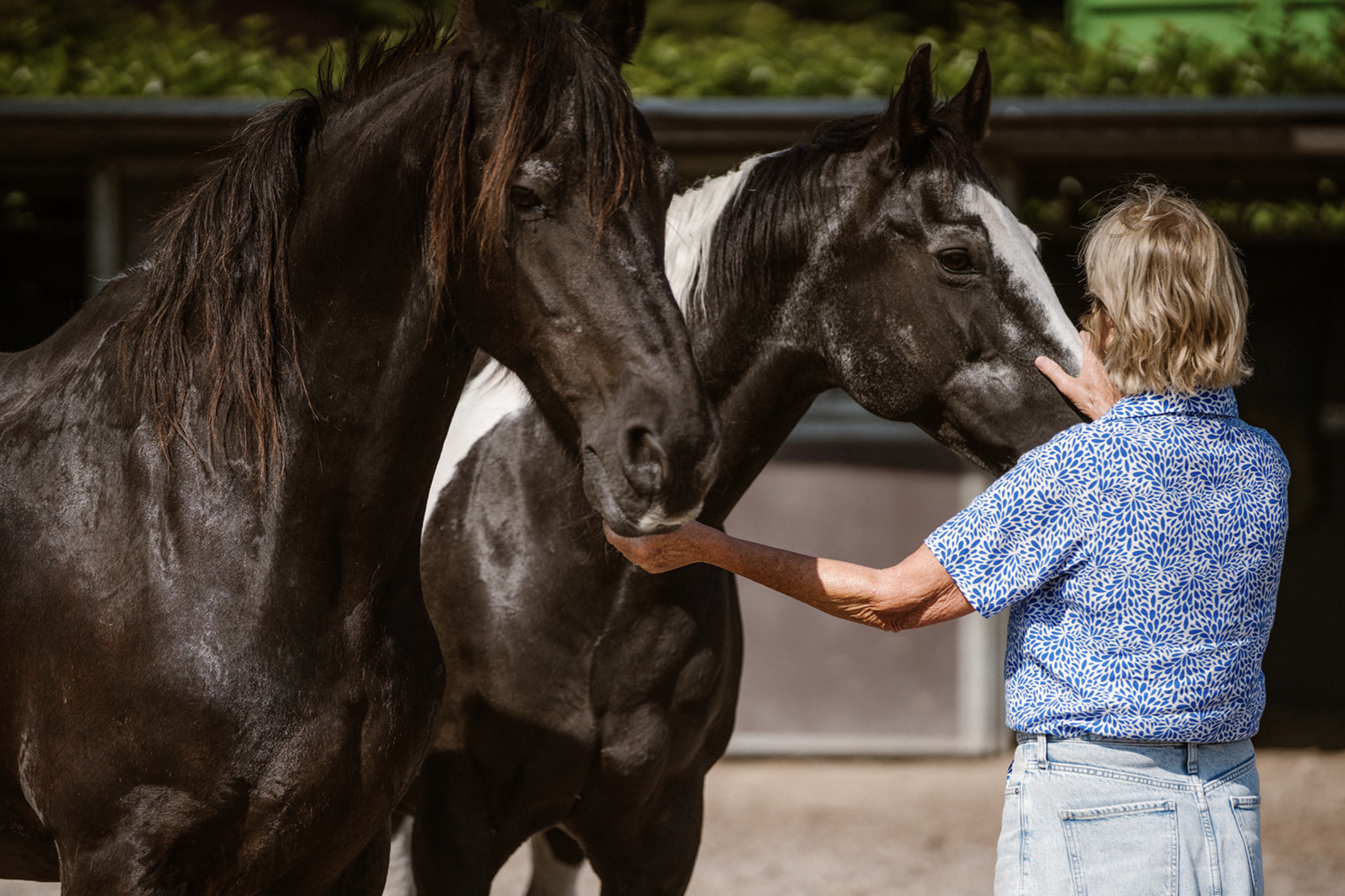 Scherm­afbeelding 2025-06-26 om 18.27.29.png