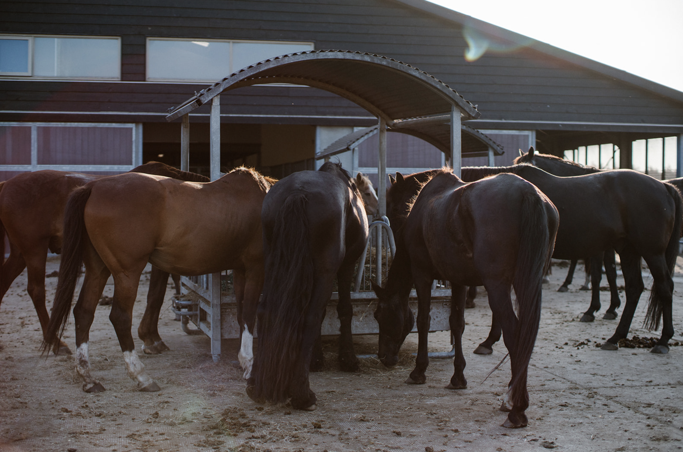 Scherm­afbeelding 2025-06-26 om 20.45.47.png