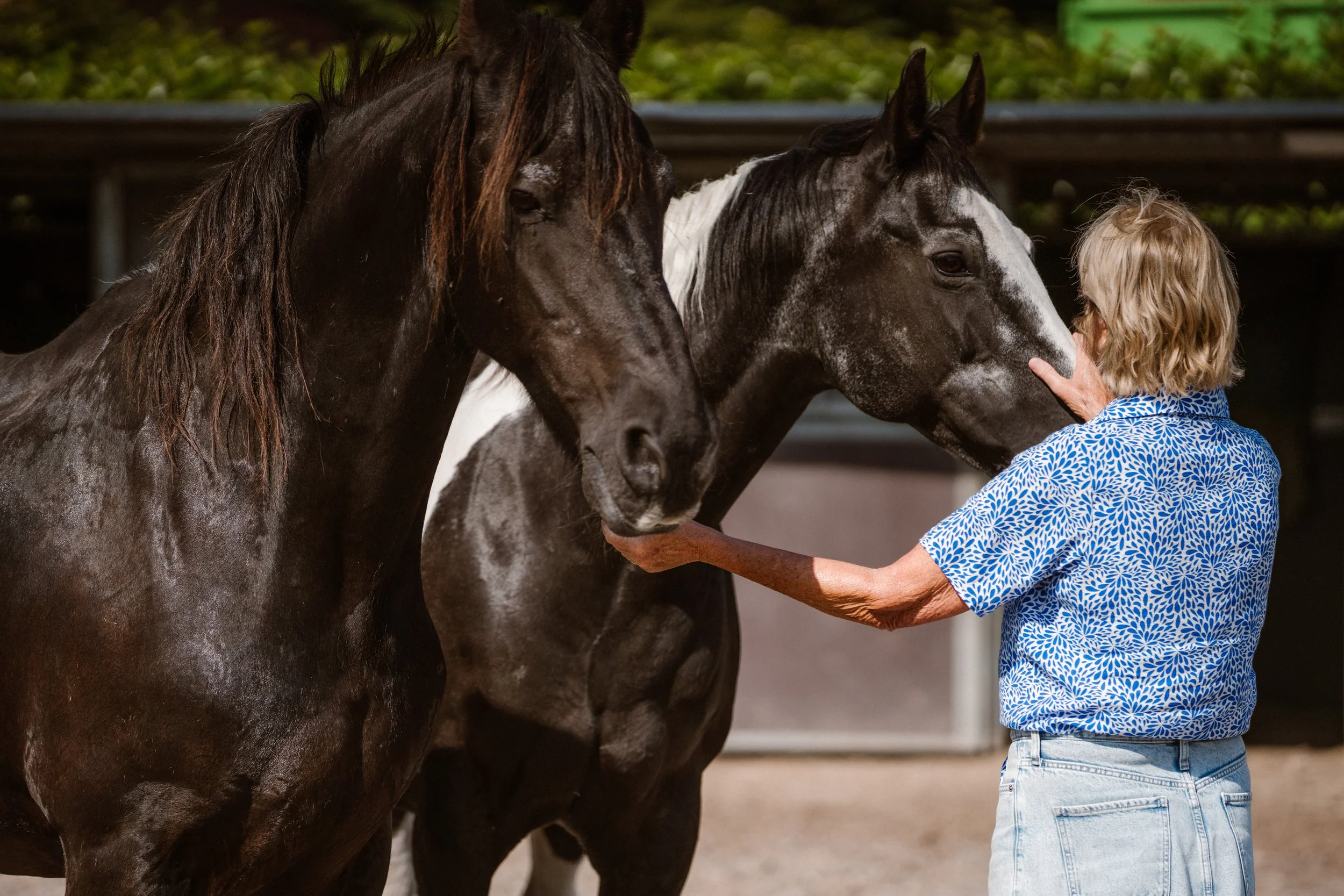 Simone Website-27.jpg