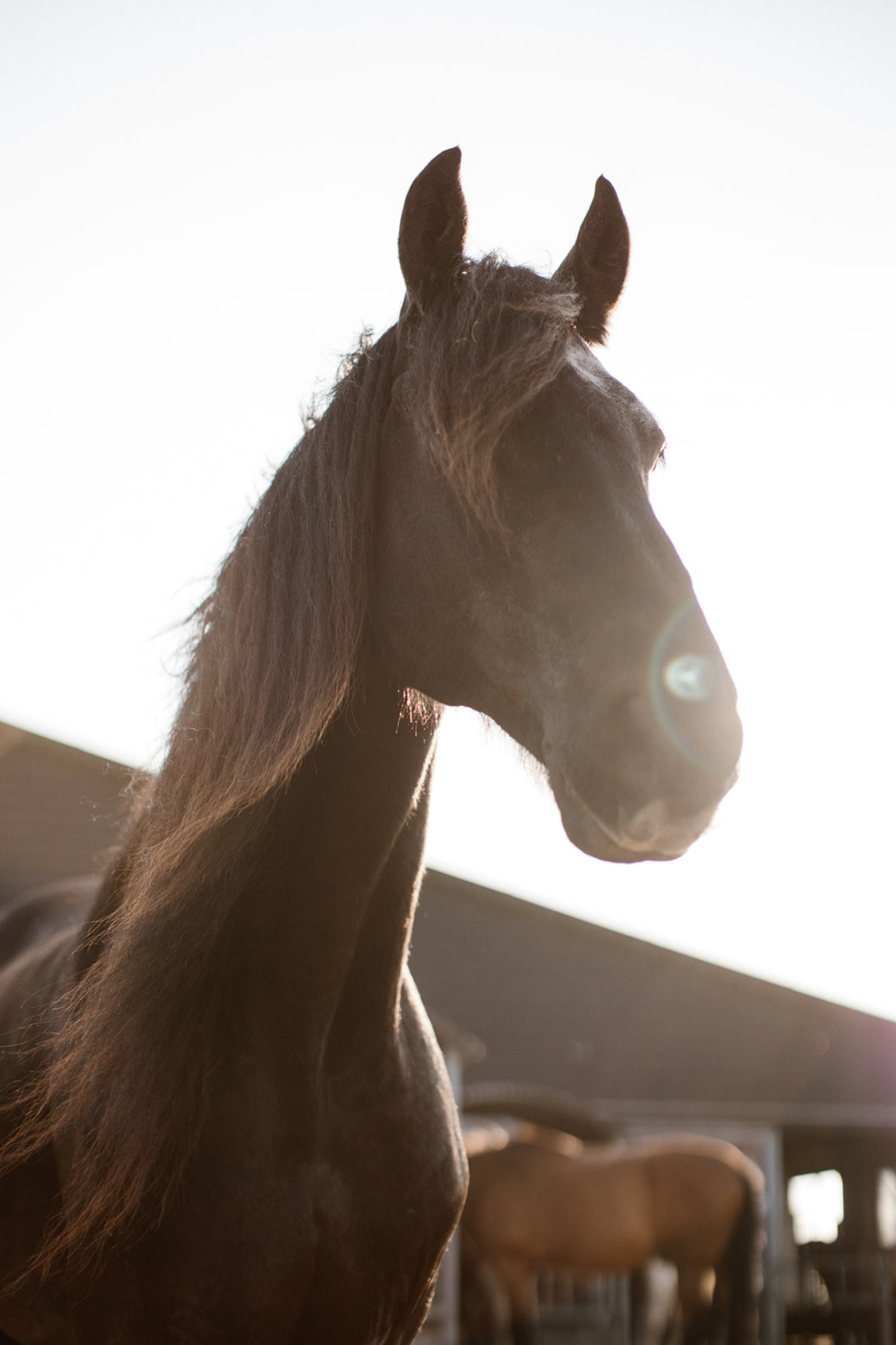 Scherm­afbeelding 2025-06-26 om 20.45.18.png