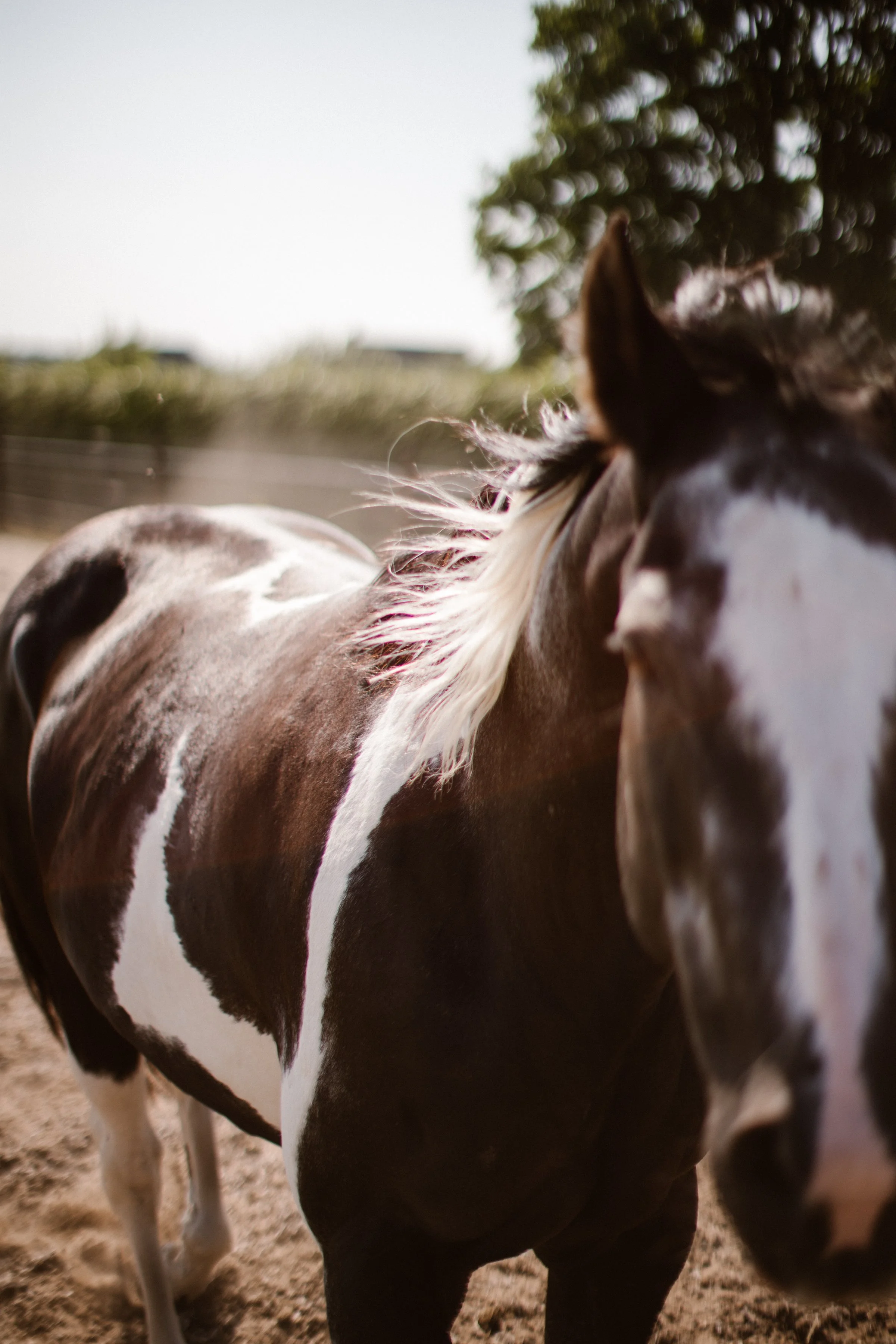 Simone Website-26.jpg