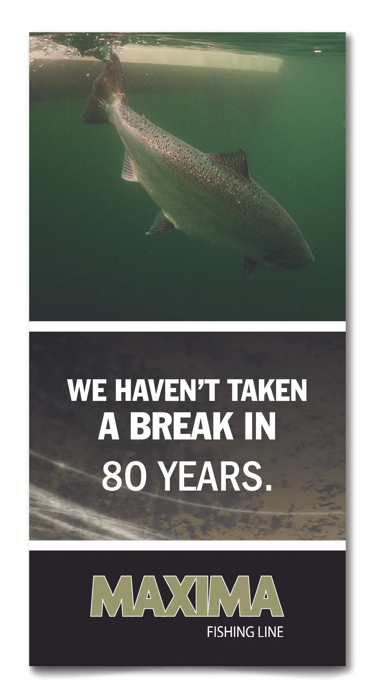 Tradeshow Poster Series