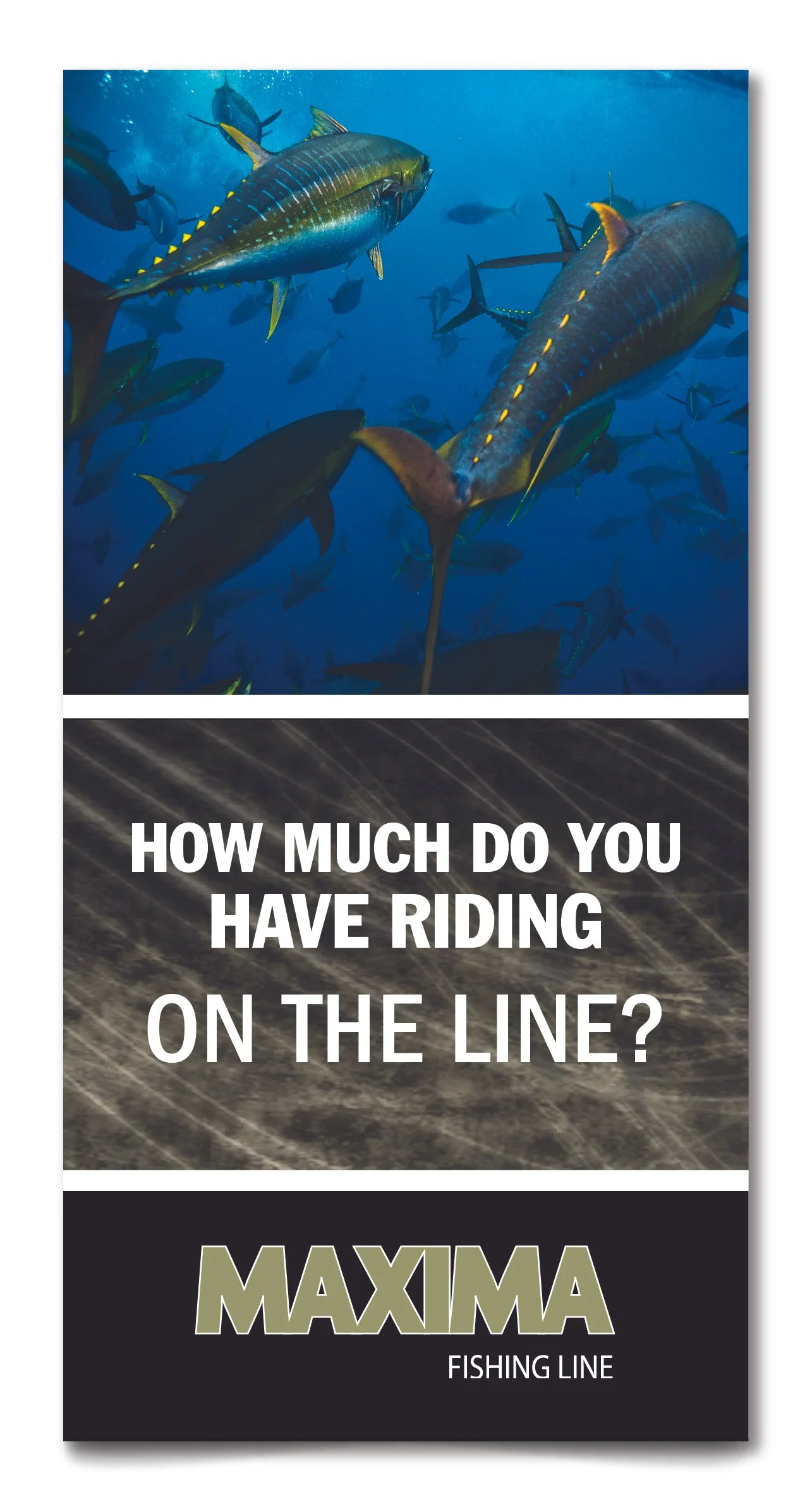 Tradeshow Poster Series