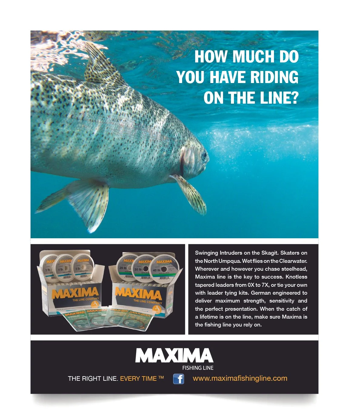 Maxima-portfolio-04.jpg