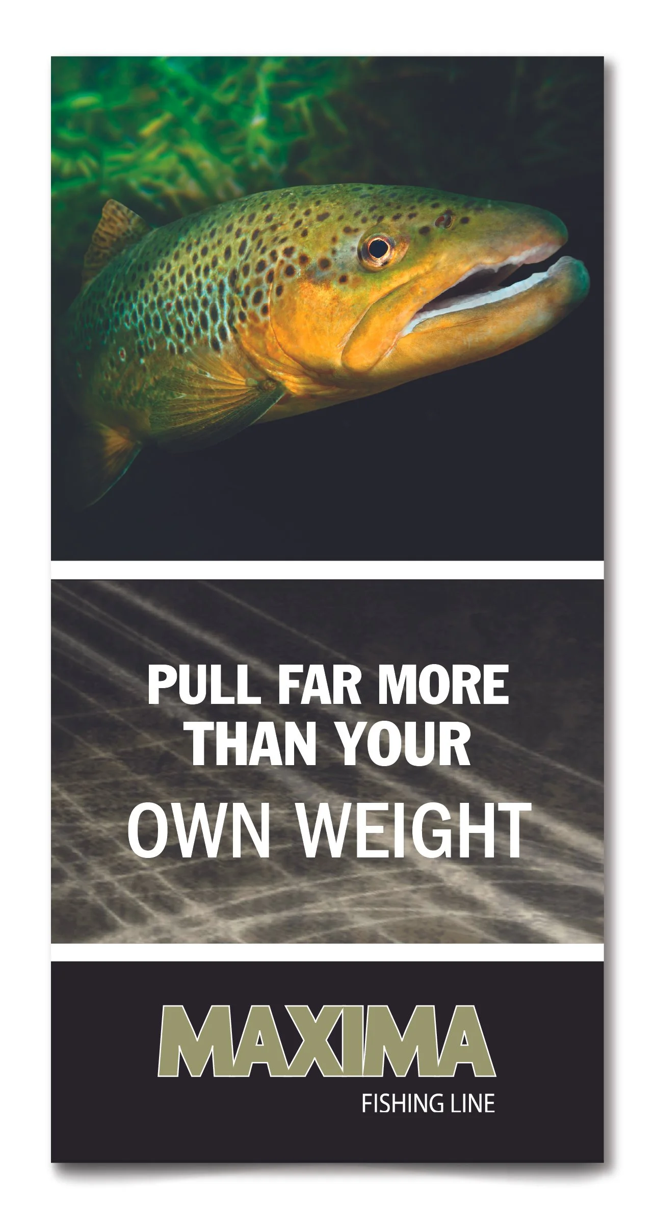 Tradeshow Poster Series