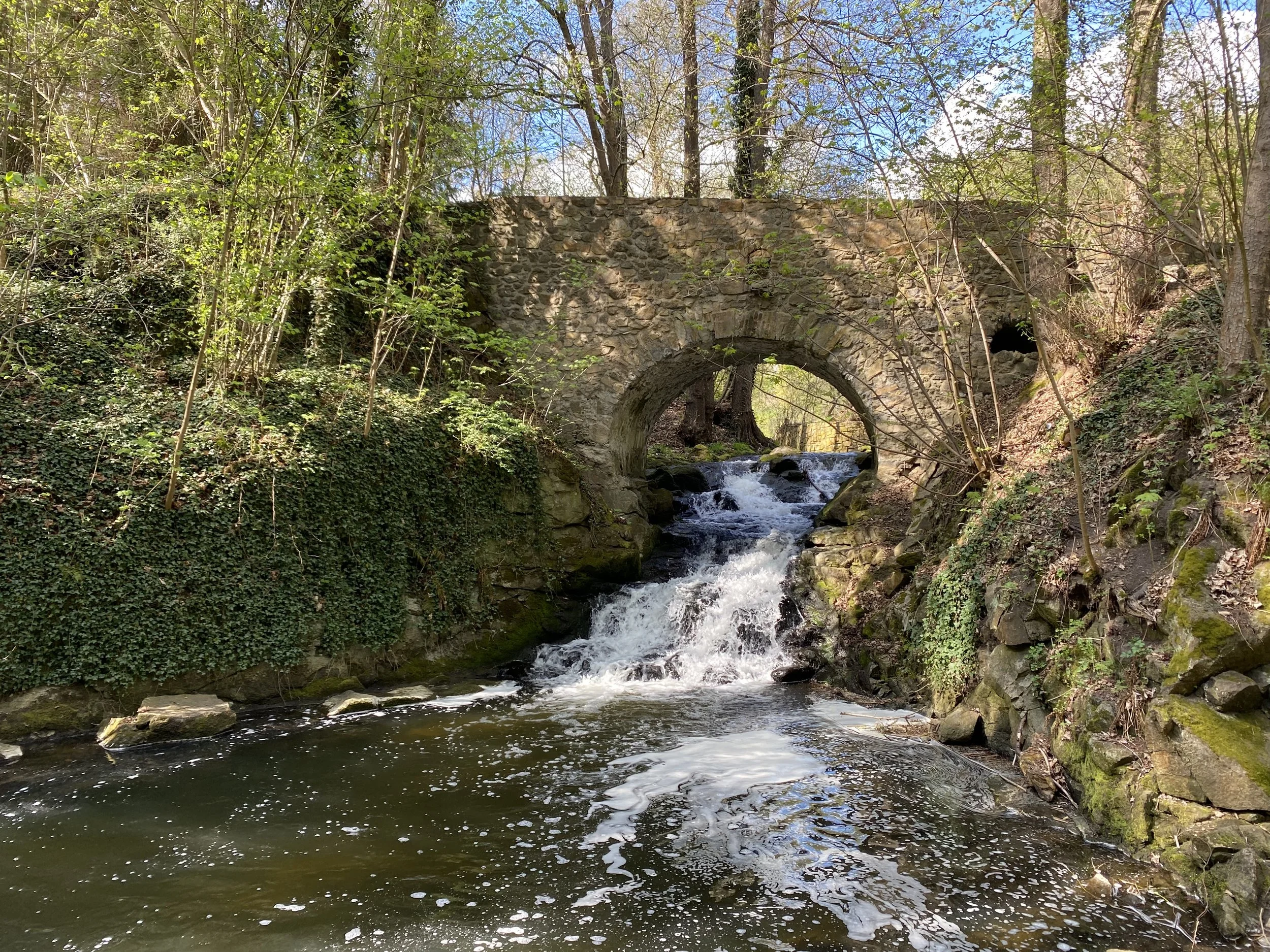 Stone bridge over stream in forest – symbolizing support and overcoming obstacles