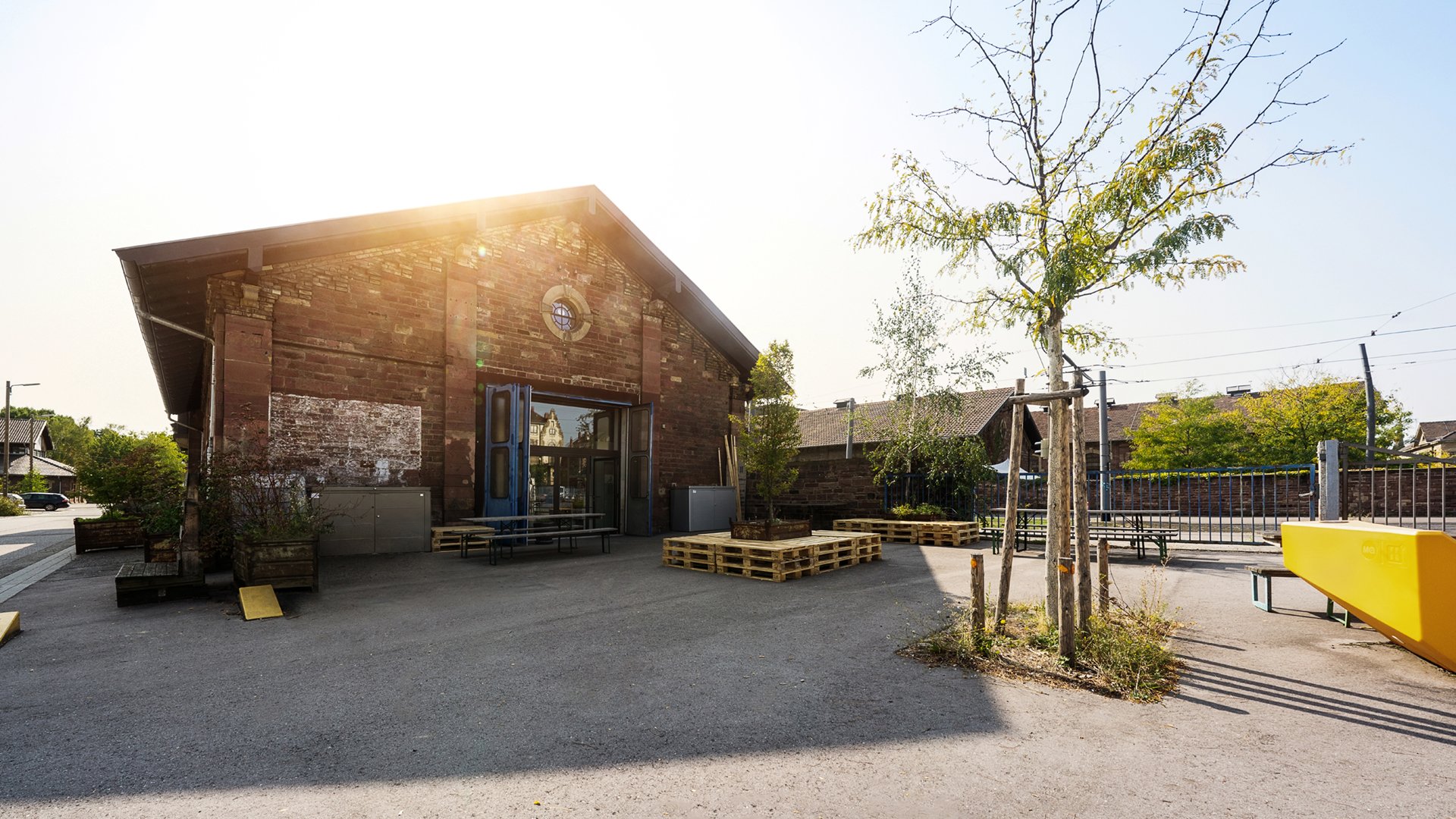 Draußen hinten nah.jpg