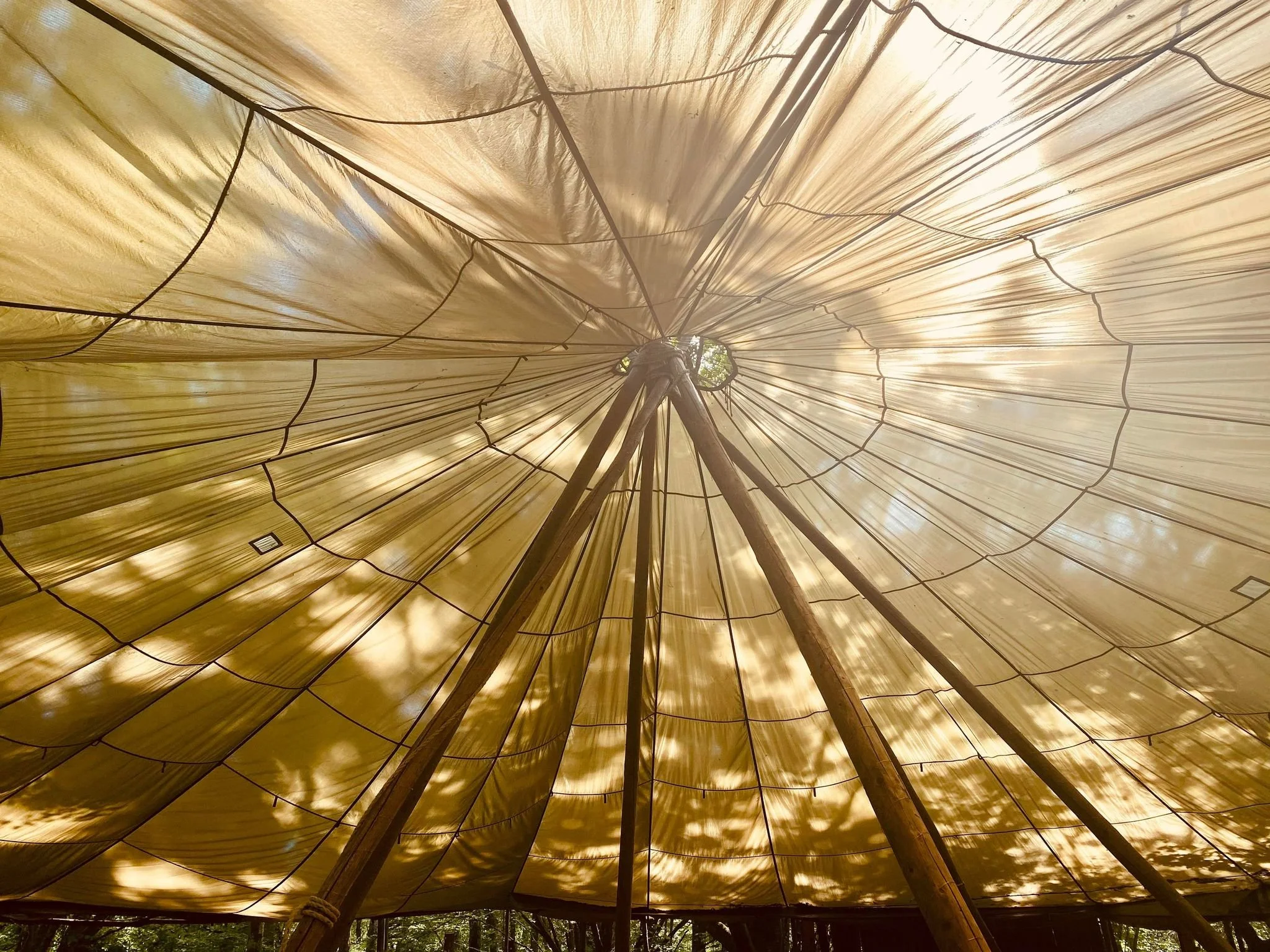 Parachute canopy.jpg