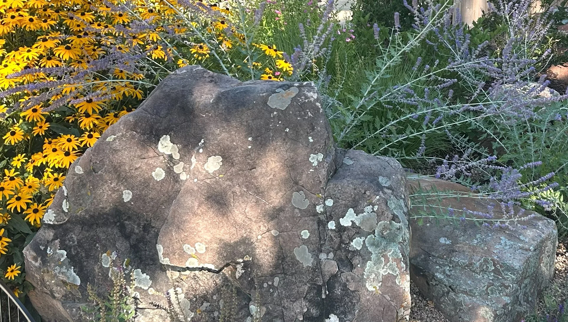 Boulder Residence-2.jpg