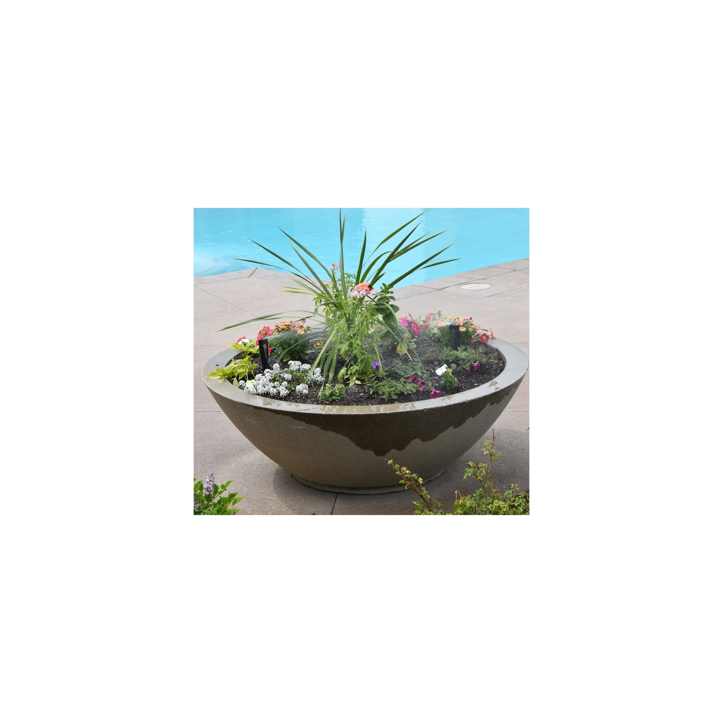 Pool 2-28X28.jpg