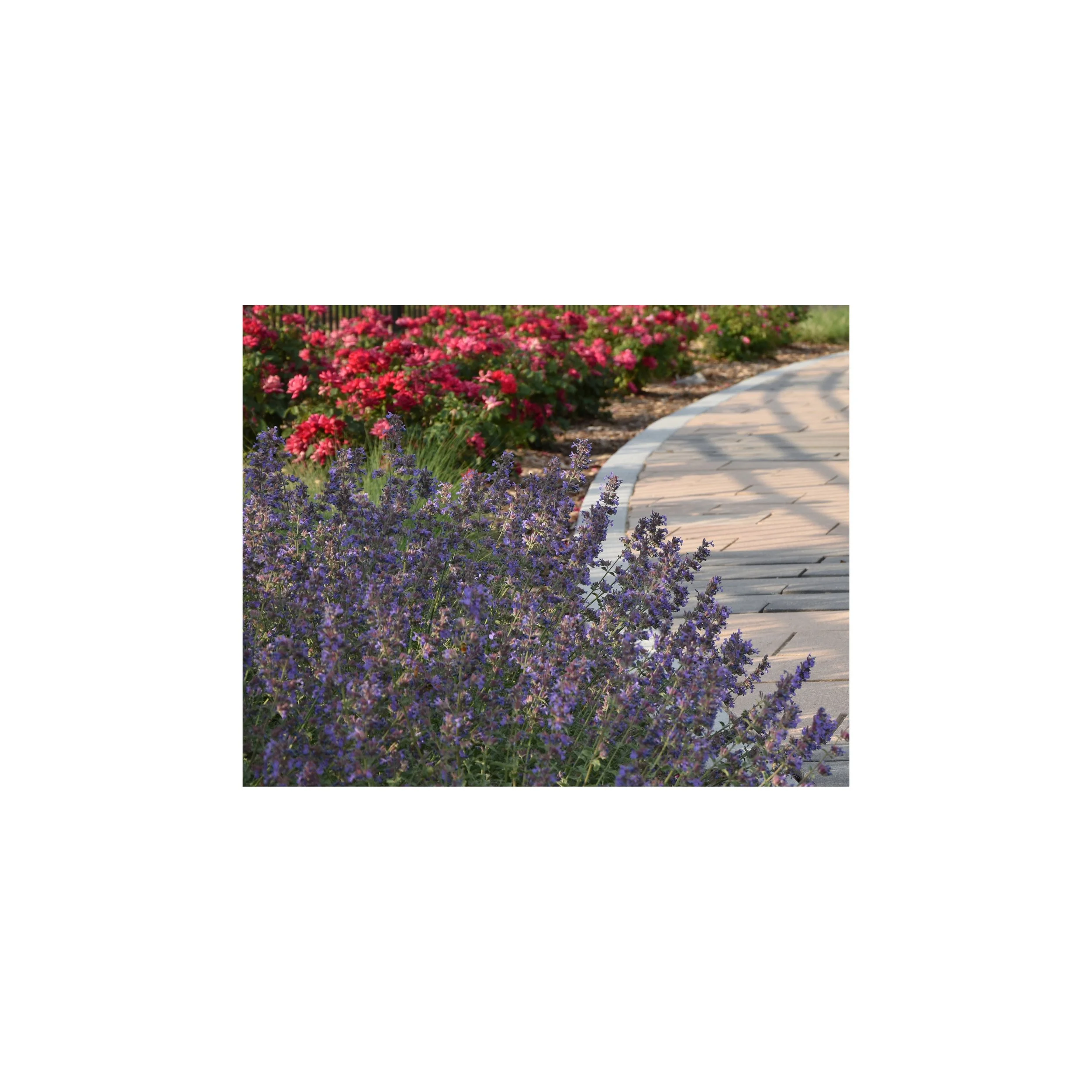 Planting-3 Canvas 18x18.jpg