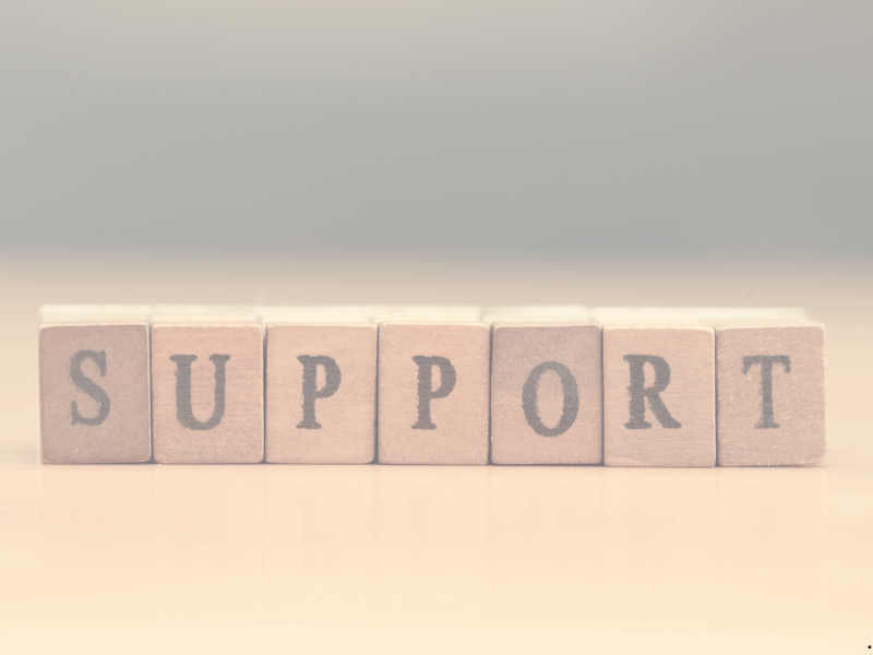 support from a professional organizer