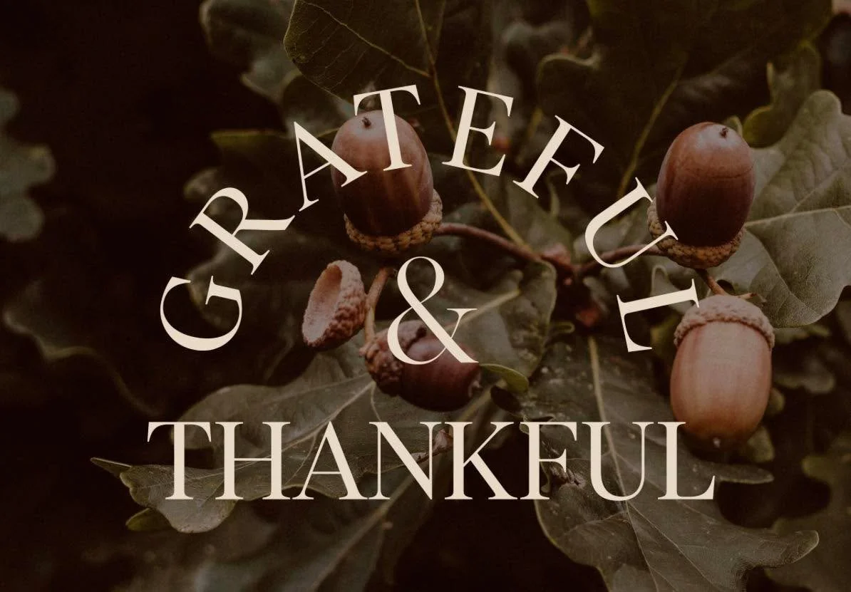 Looking forward to a day spent with friends and family and wishing you all the same joy!  Happy Thanksgiving!