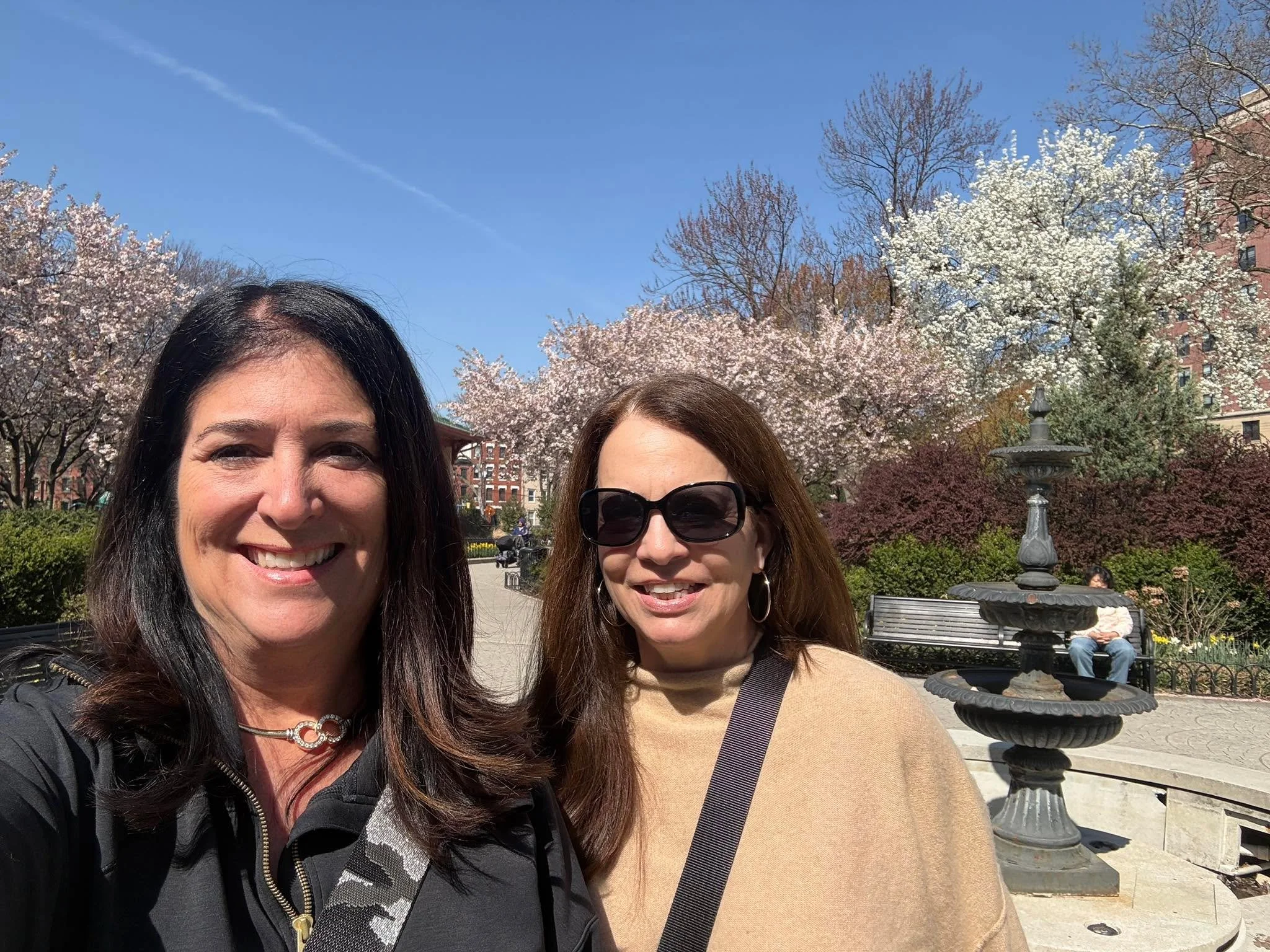 A beautiful spring day in Jersey city. Look at those trees!