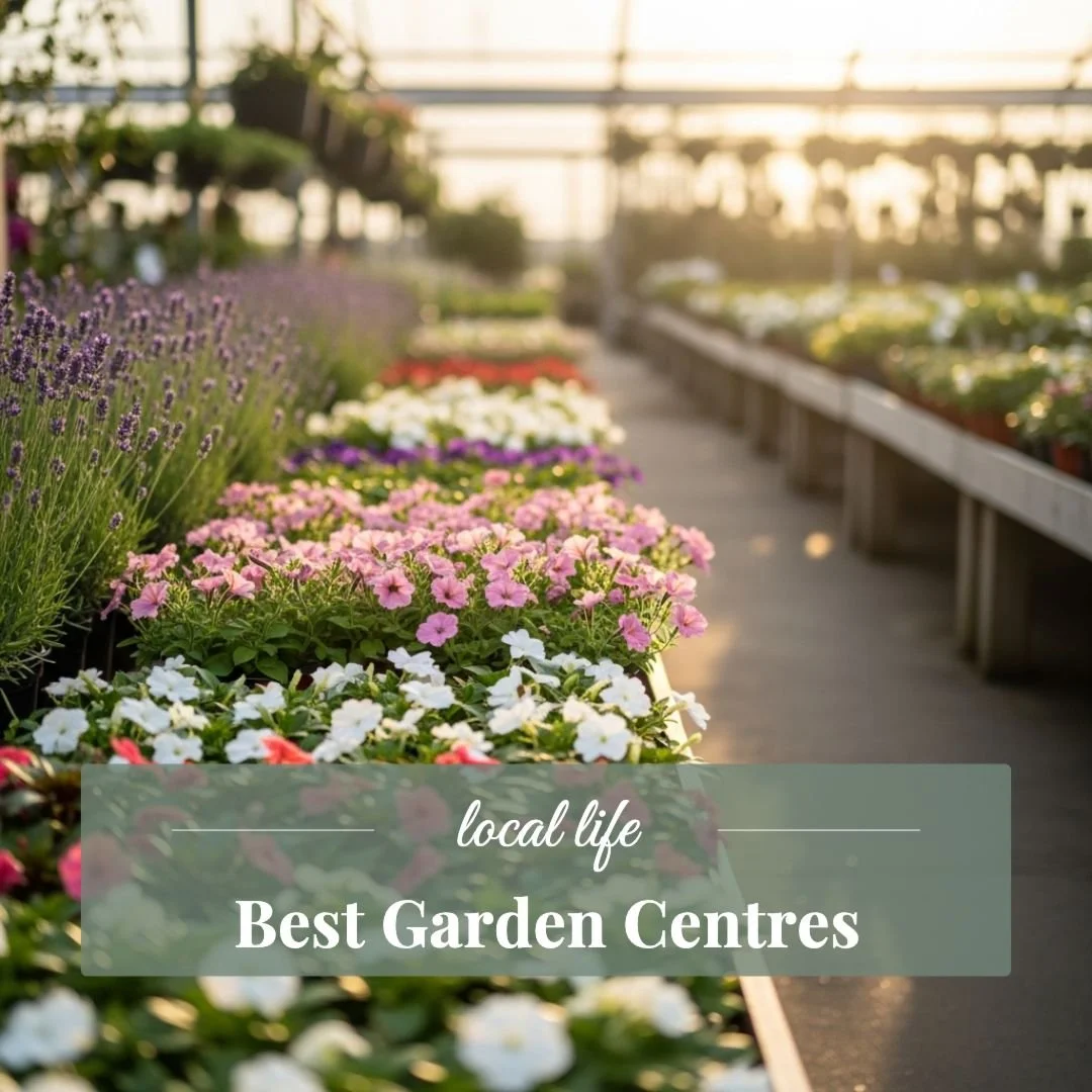 🌸 Spring is in the Air!

Longer days, fresh blooms, and the perfect time to dig into gardening! If you have a green thumb (or just love browsing beautiful plants), we want to hear from you! 🌱💐

Drop your go-to local garden centers &amp; nurser