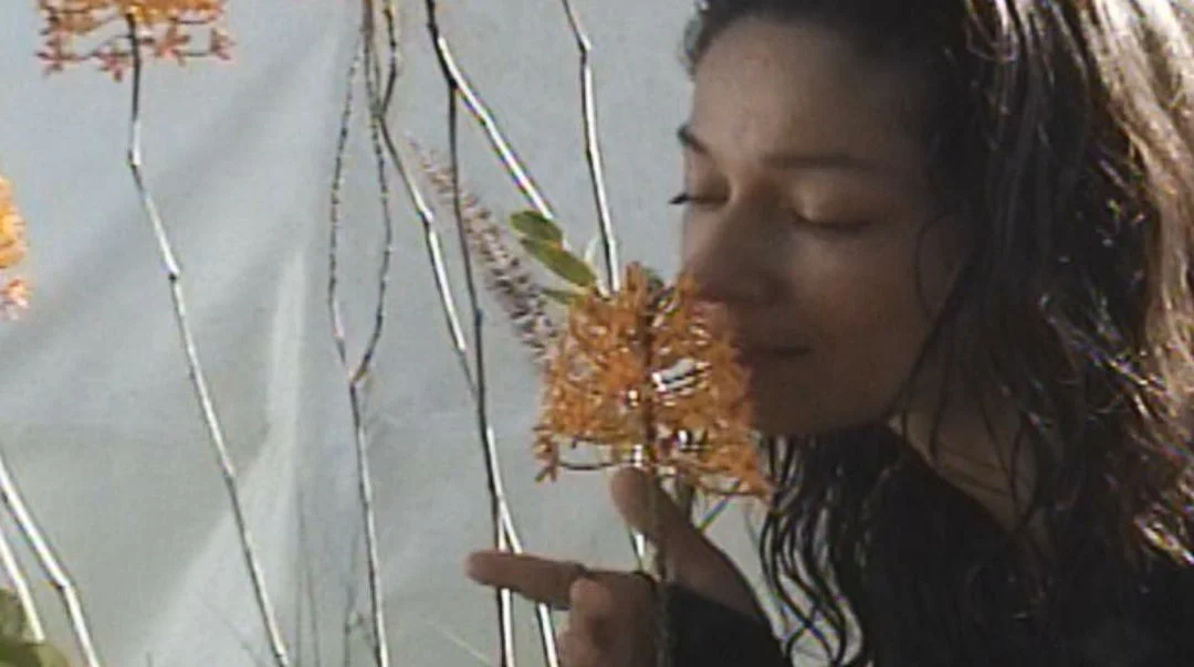 Still 2025-10-08 194242_1.3.2.jpg