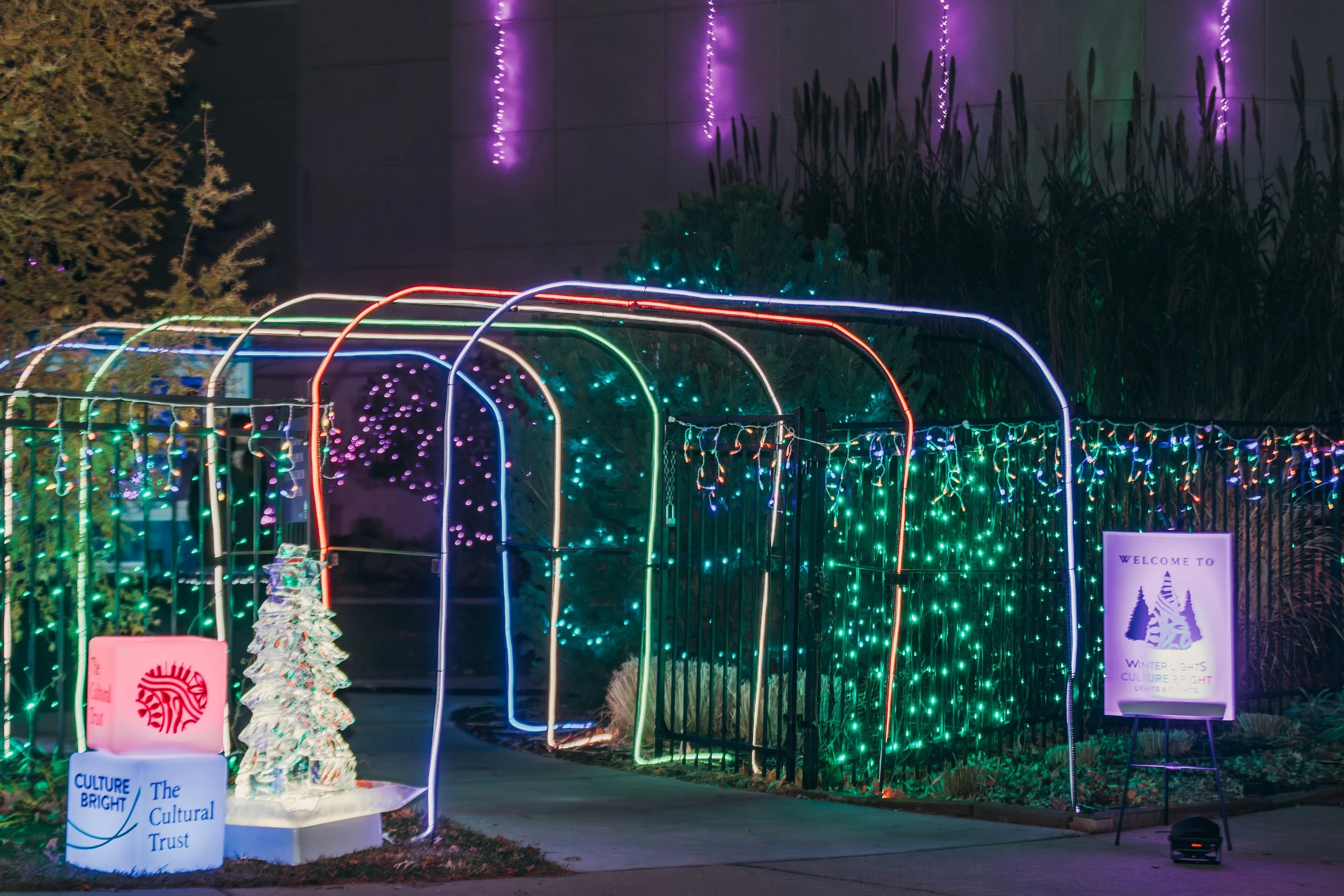 Nighttime outdoor scene with colorful neon light arches forming a tunnel, decorated with multicolored string lights. There is a small lit white Christmas tree on a platform, a sign that says 'Welcome to Winter Culture Bright,' and another sign for Th