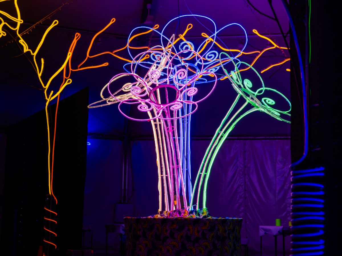 Colorful neon light sculpture resembling a bouquet of flowers in a dark room.