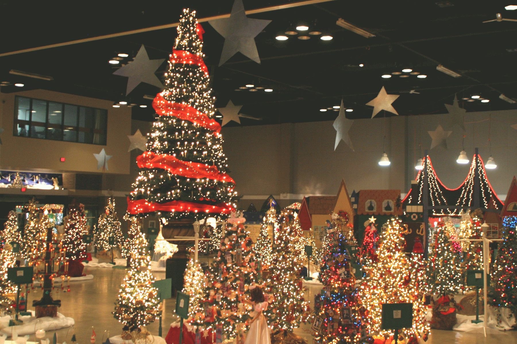 Picture of Festival of Trees 2005 Anniversary
