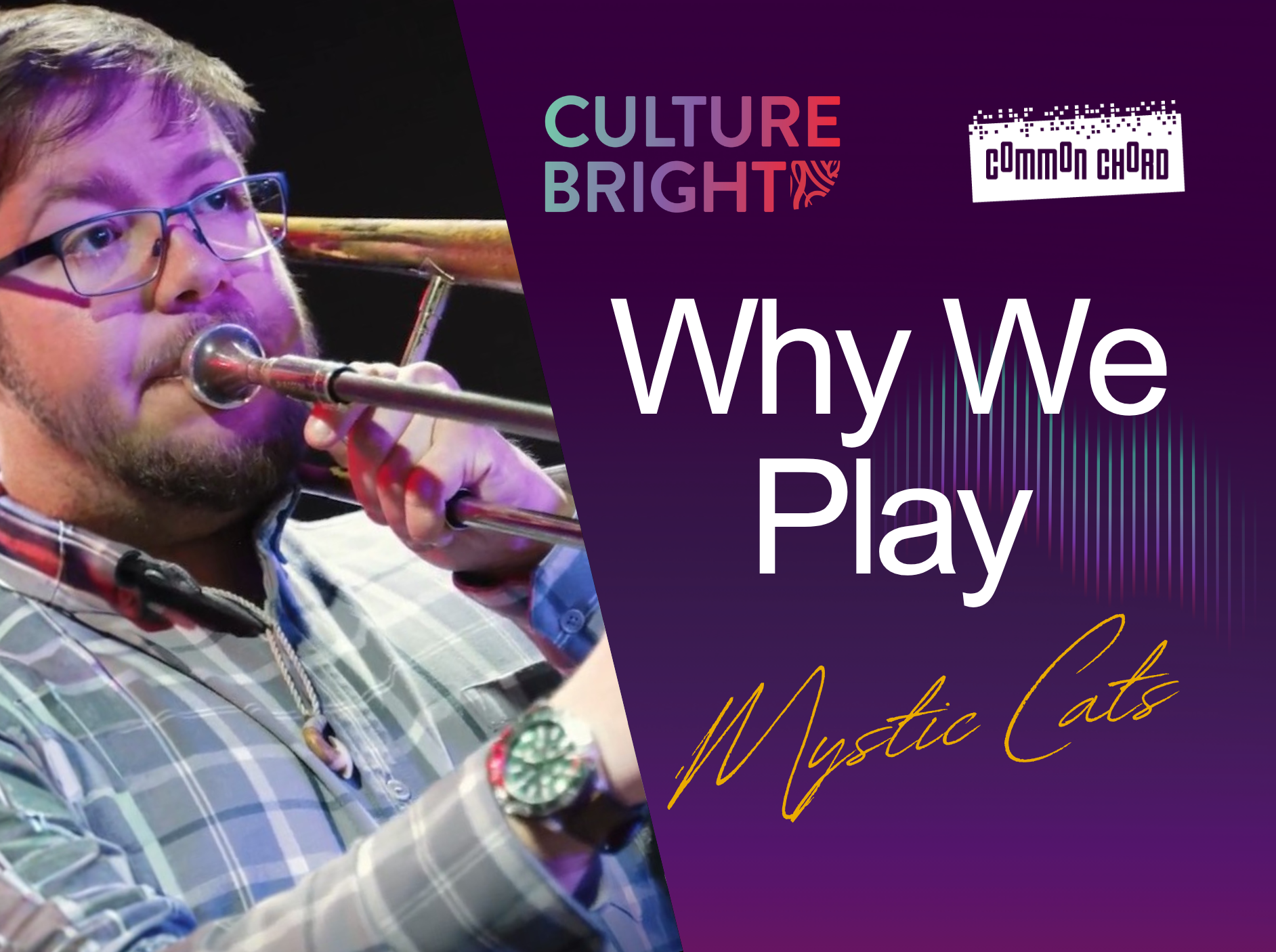 Mystic Cats: Why We Play Series