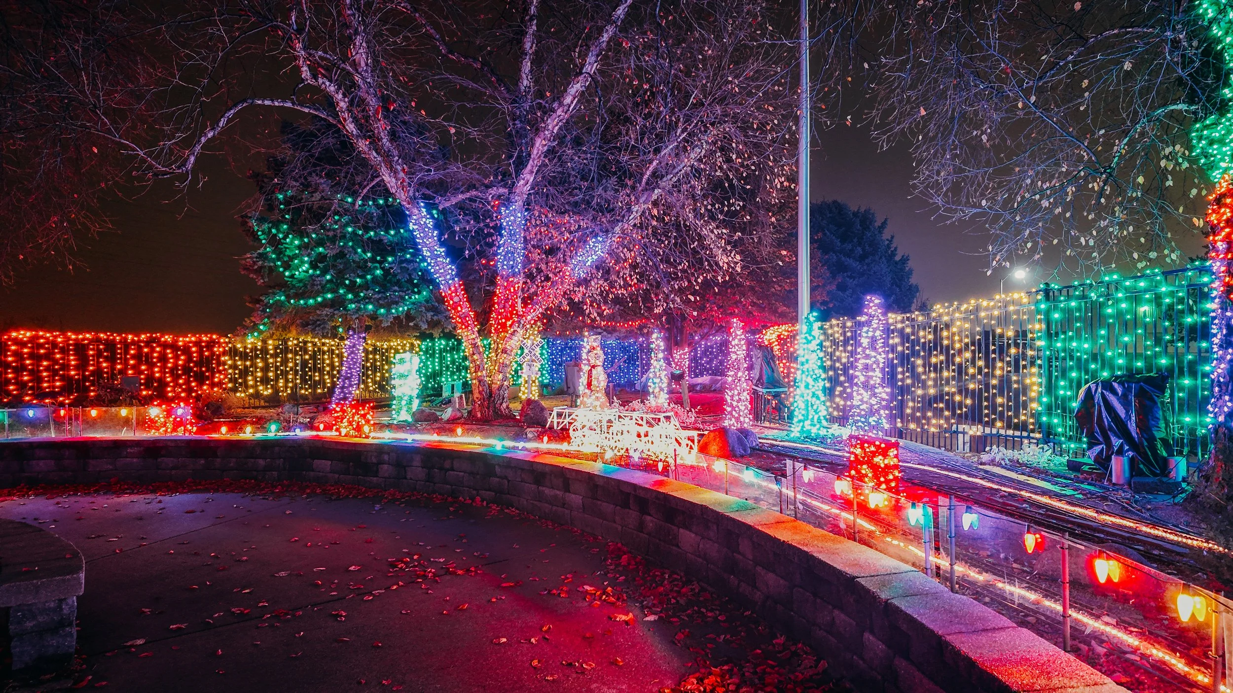 Nighttime view of a park decorated with colorful Christmas lights. Trees wrapped in multicolored lights, with a fence also draped in yellow lights. The ground has fallen leaves, and there is a stone or brick wall with a curved shape in the foreground
