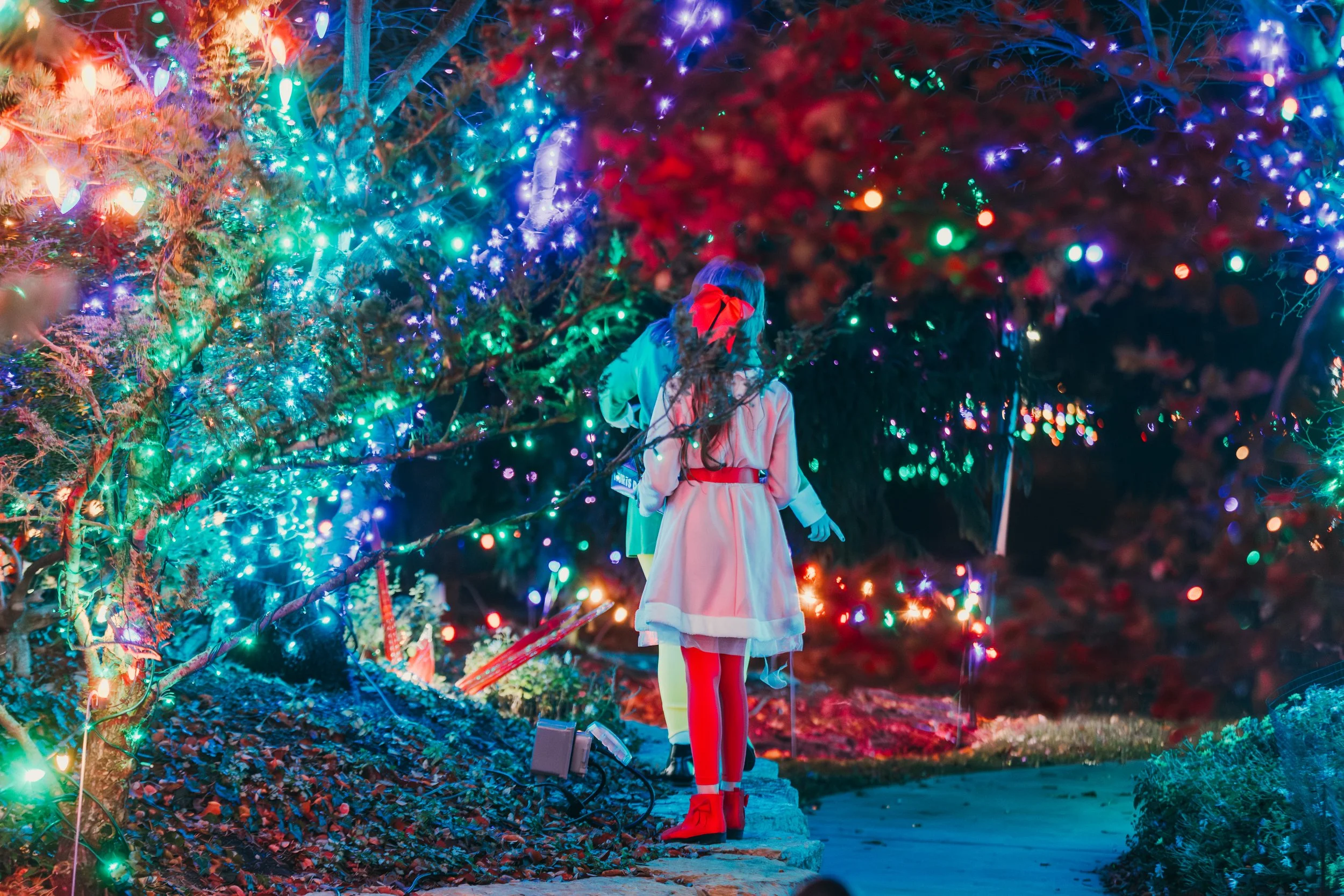 People enjoying holiday lights display at night with colorful Christmas lights on trees.