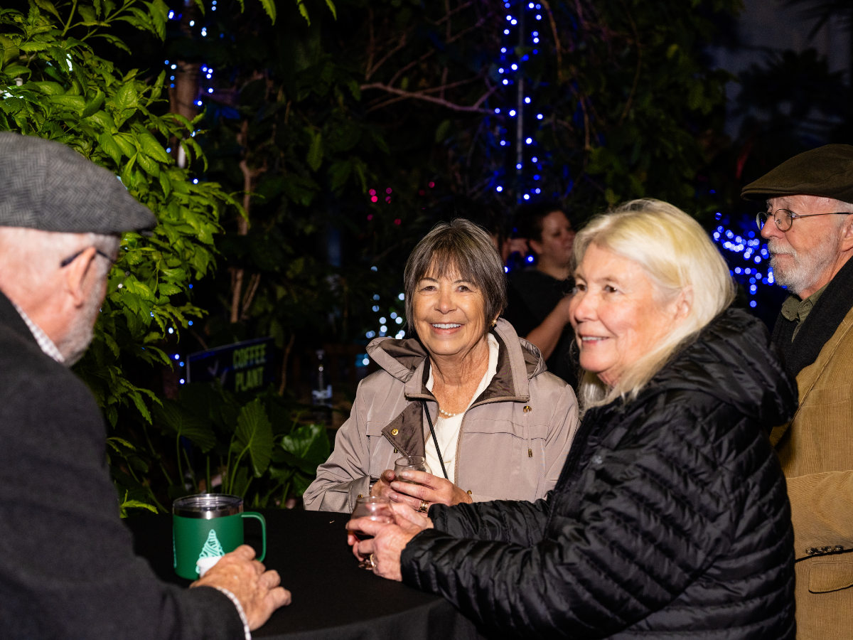 Group of four older adults smiling and chatting outdoors at night, surrounded by green plants and blue string lights.
