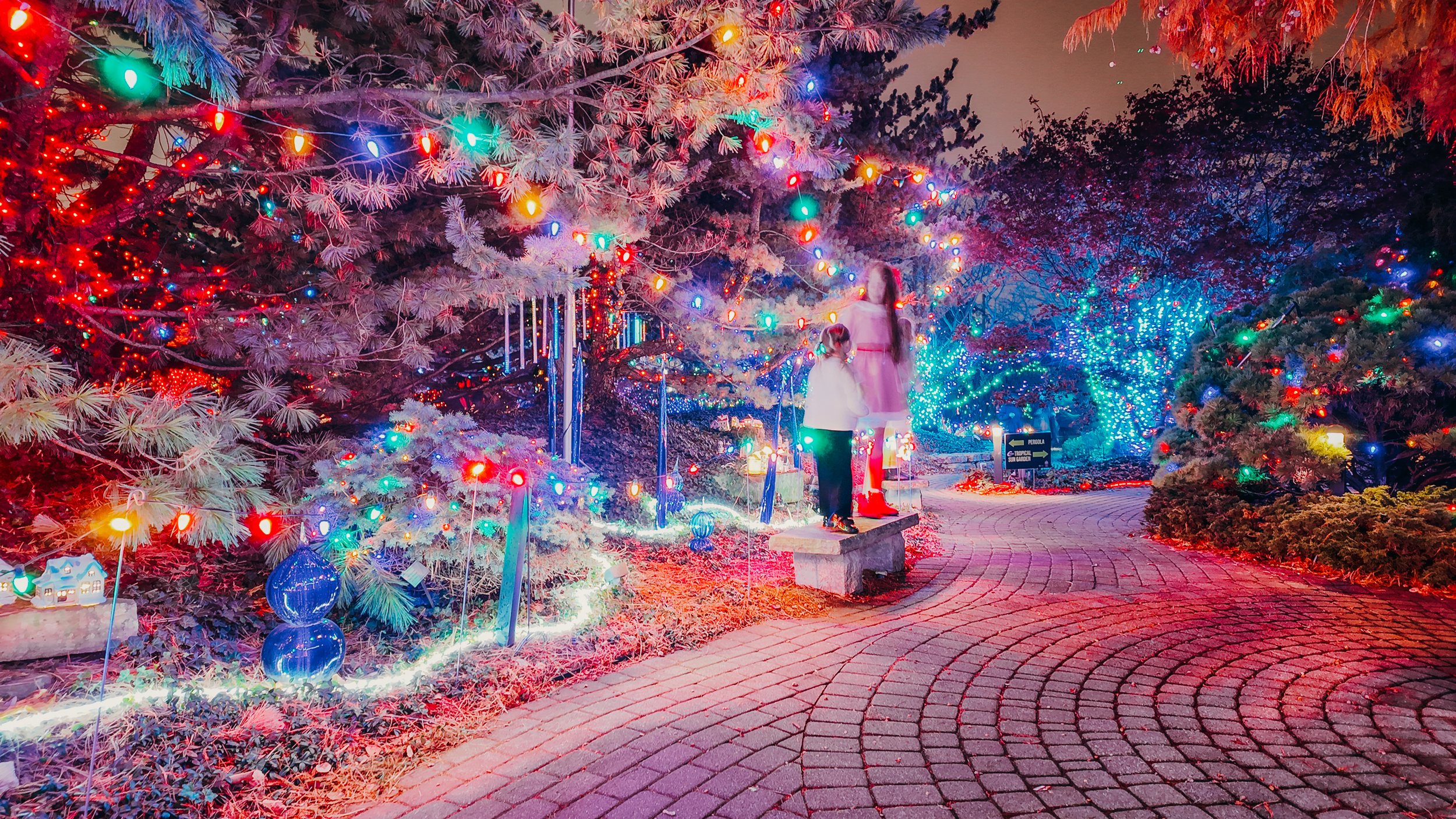 Decorative garden path at night with colorful Christmas lights, ornaments, and two children standing on a bench under a tree.