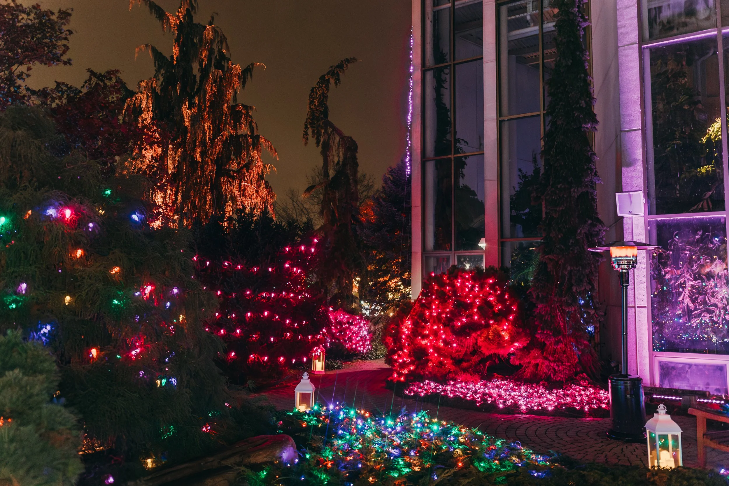Nighttime holiday scene with colorful string lights on trees and bushes, lanterns on the ground, and a modern glass building illuminated with pink and purple lights.