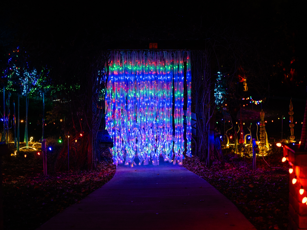 Colorful Christmas lights decorating a garden with a pathway and a curtain of lights at the center.