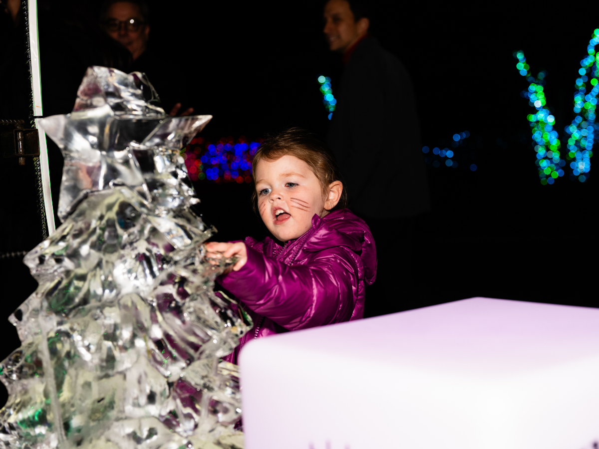 A young girl wearing a purple jacket and face paint of whiskers reaches out to touch an ice sculpture on a table at night, with two men in the background and colorful Christmas lights in the distance.