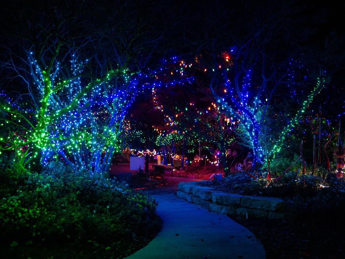 Night scene of a garden decorated with colorful string lights on trees, illuminating a pathway.