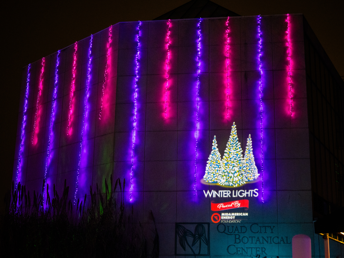 Nighttime view of a building decorated with colorful LED winter lights in pink and purple, with a logo of trees and the words 'Winter Lights' and sponsorship by MIdAmerican Energy Foundation, at Quad City Botanical Center.