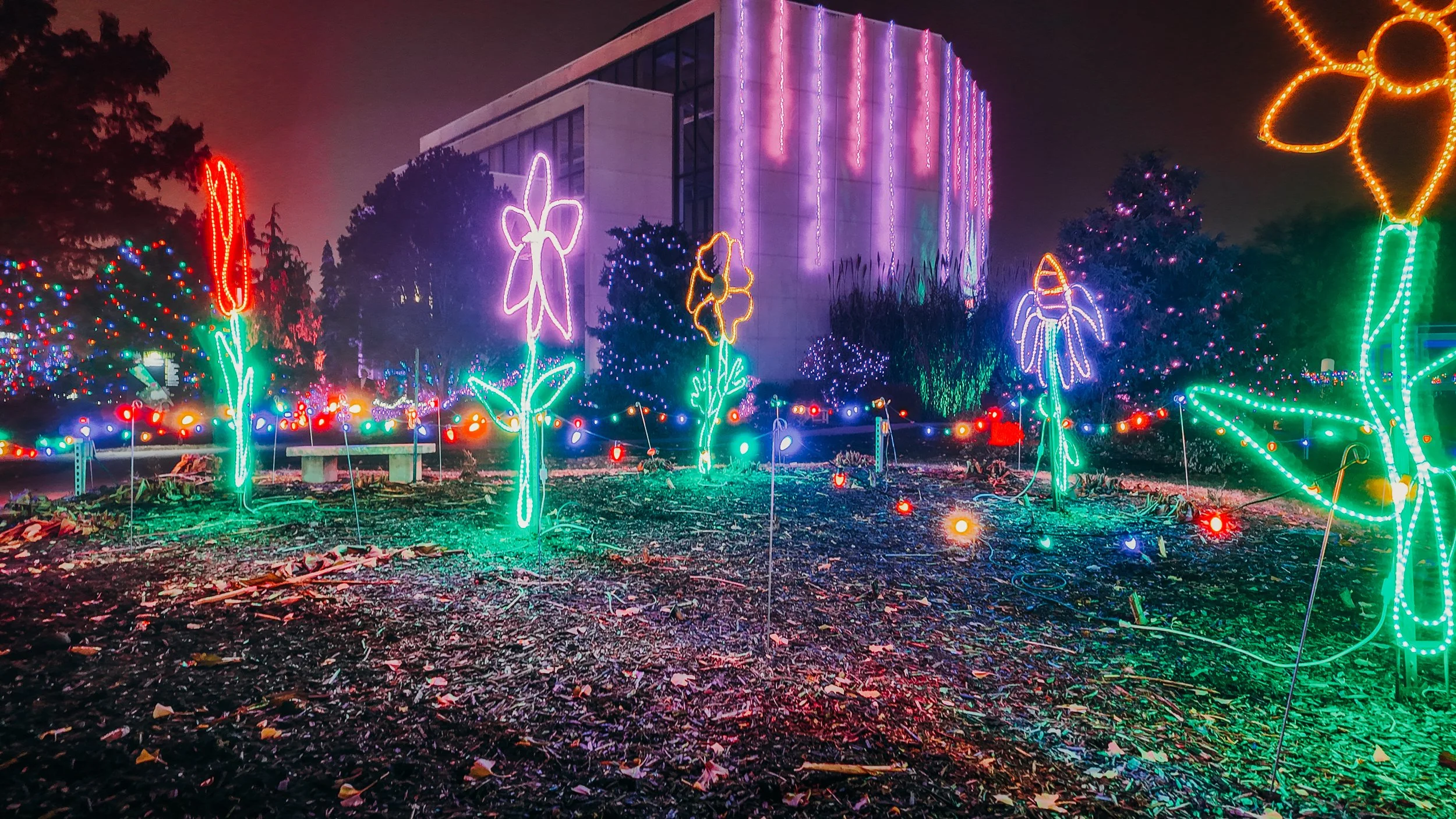 Colorful holiday light display with illuminated flowers, butterflies, and string lights on trees, set outdoors at night.
