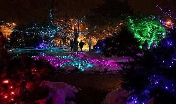 Night time scene of snow and Christmas light covered Quad City Botanical Center during their Winter Lights