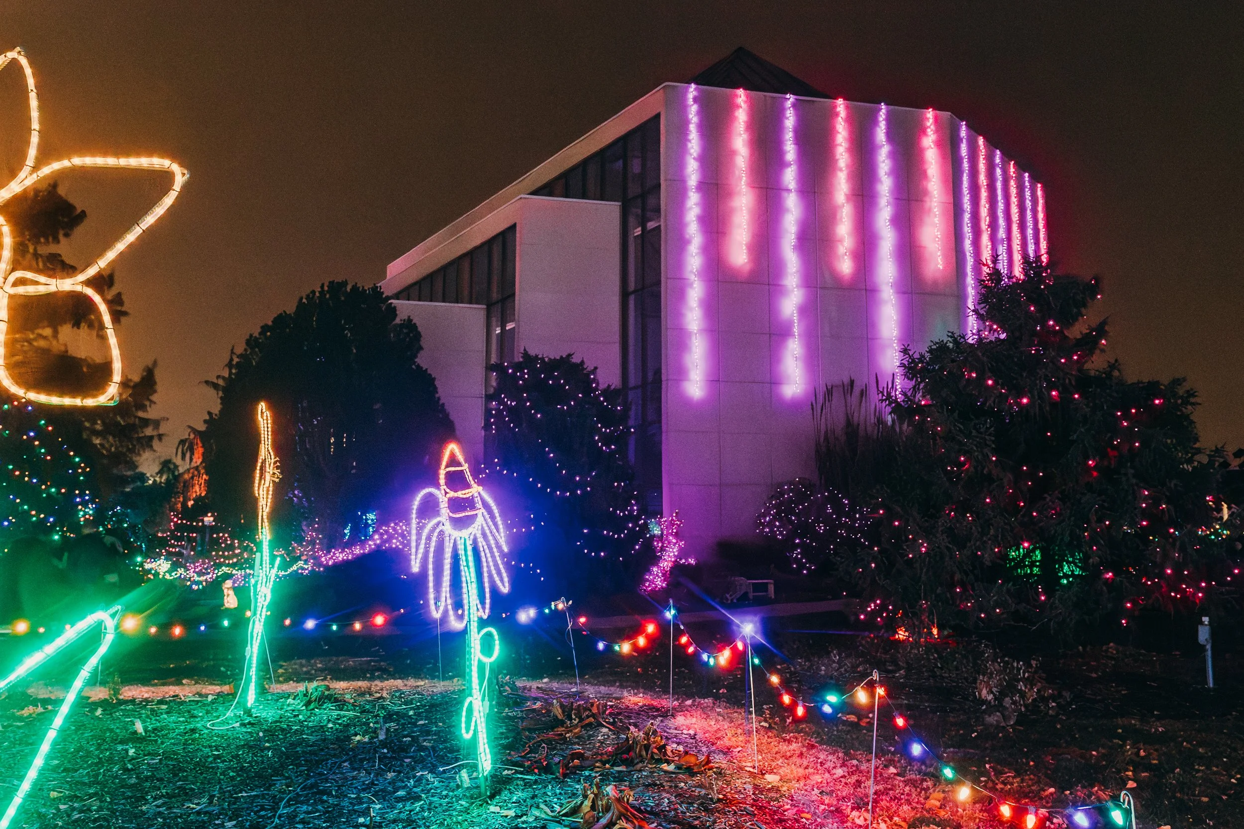A modern building decorated with pink and purple Christmas lights at night. The surrounding yard has colorful string lights, including a large illuminated flower and other festive shapes, creating a holiday scene.