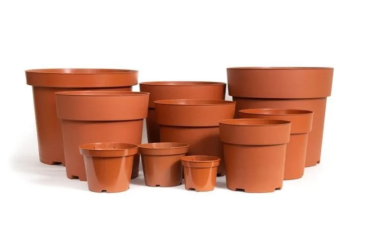 A variety of empty terracotta flowerpots of different sizes arranged on a white surface.