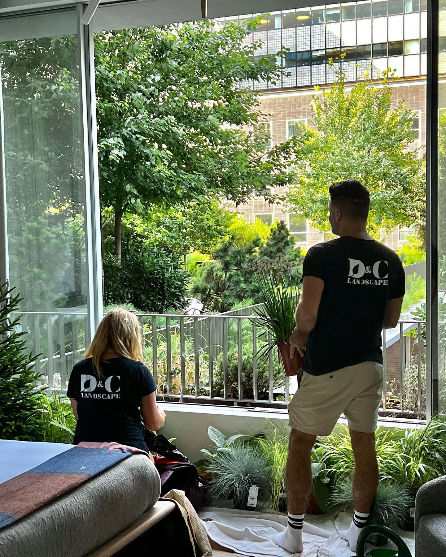 New installation- Designed and installed by D&amp;C Landscape at the iconic Jardim building in west Chelsea.