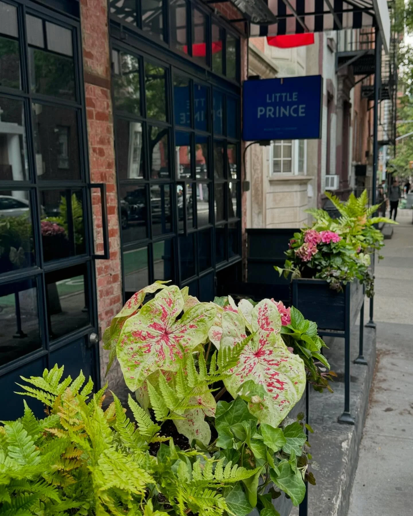 Landscape design and install by D&amp;C Landscape LLC