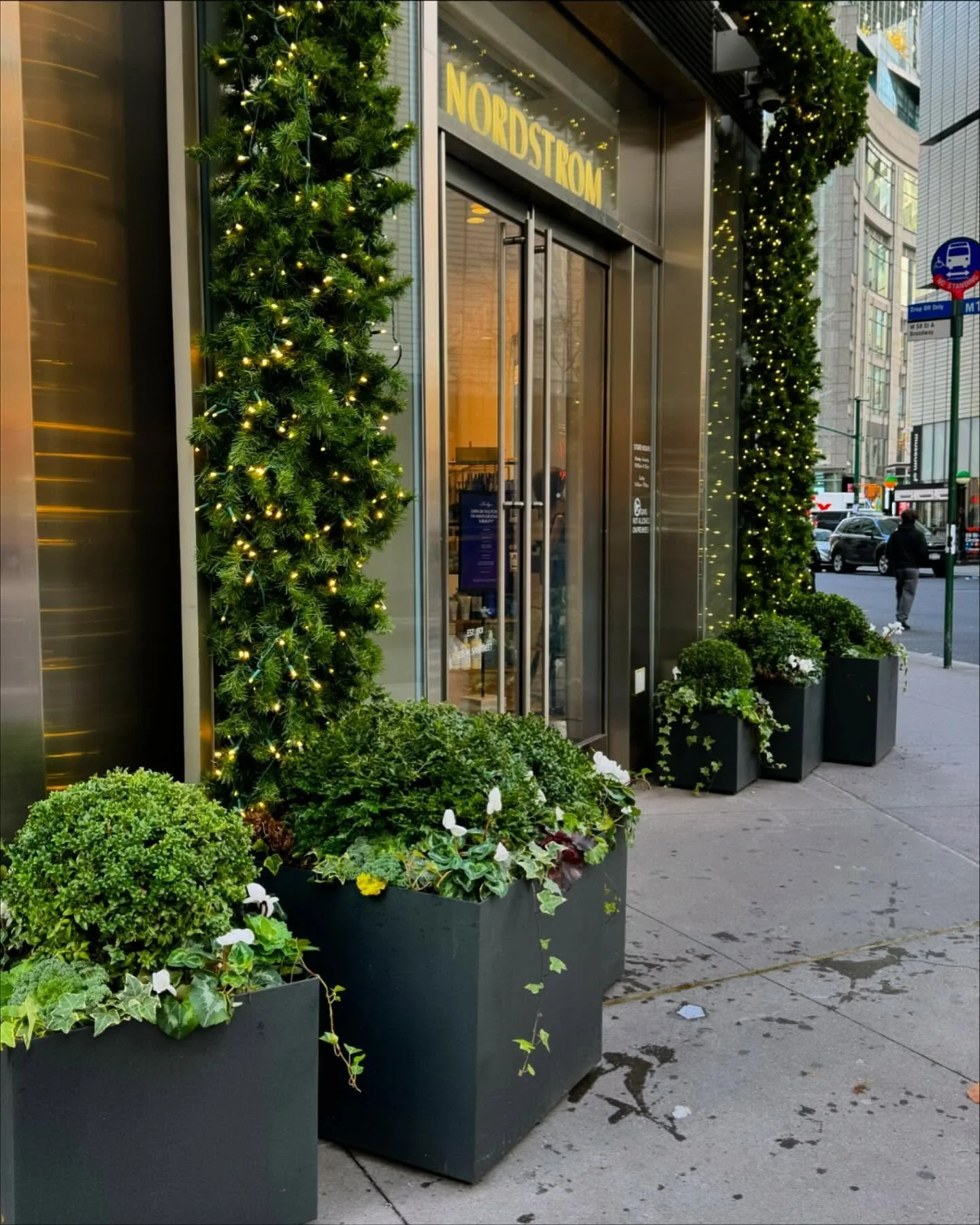 Nordstrom New York planters, plants, holiday decorations &amp; maintenance by D&amp;C landscape LLC #landscapenewyork #rooftop #newyorkgardens #urbanlandscape #landscapedesign #landscapearchitecture #commericallandscape #rooftopgardendesign