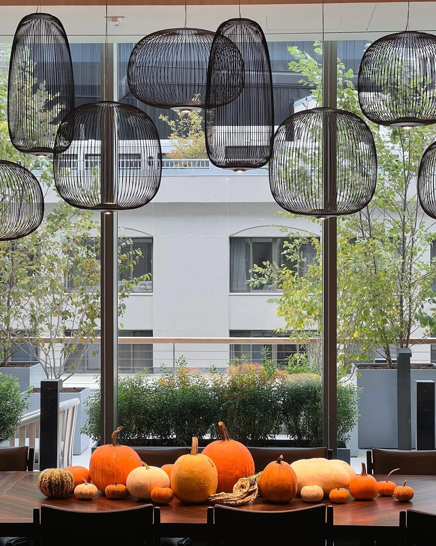 More of our fall display decorations 🍂  we also do indoor plants, fresh cut flower arrangements and outdoor plants.